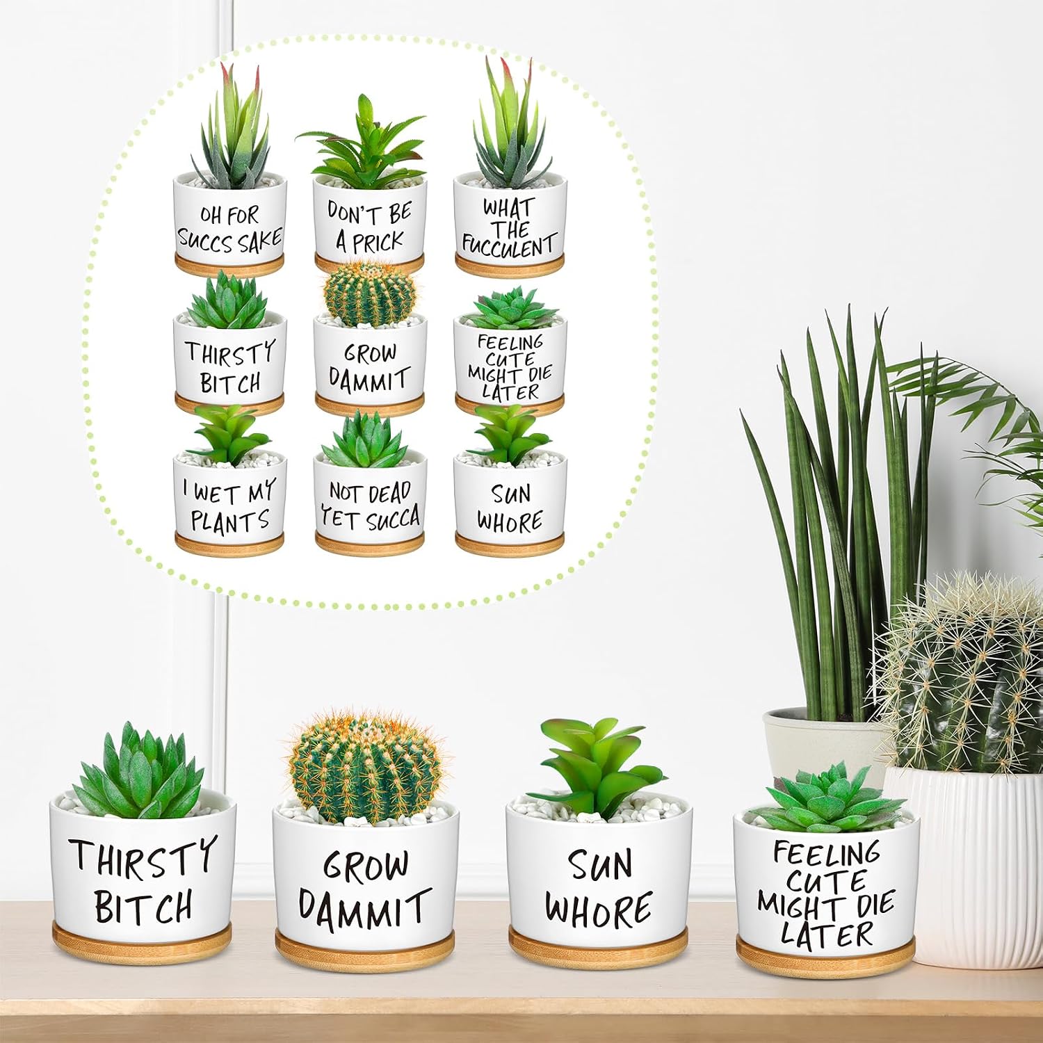 9 Pcs Funny Succulent Pots Ceramic Planters Bamboo Tray,Funny | Cute Aloe Cactus Planters with Drainage, White Mini