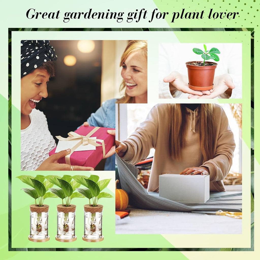 9 Packs Propagation Vases for Plants Plastic Plant Propagation Station with Hole Lid and Bamboo Stand Growing in Water