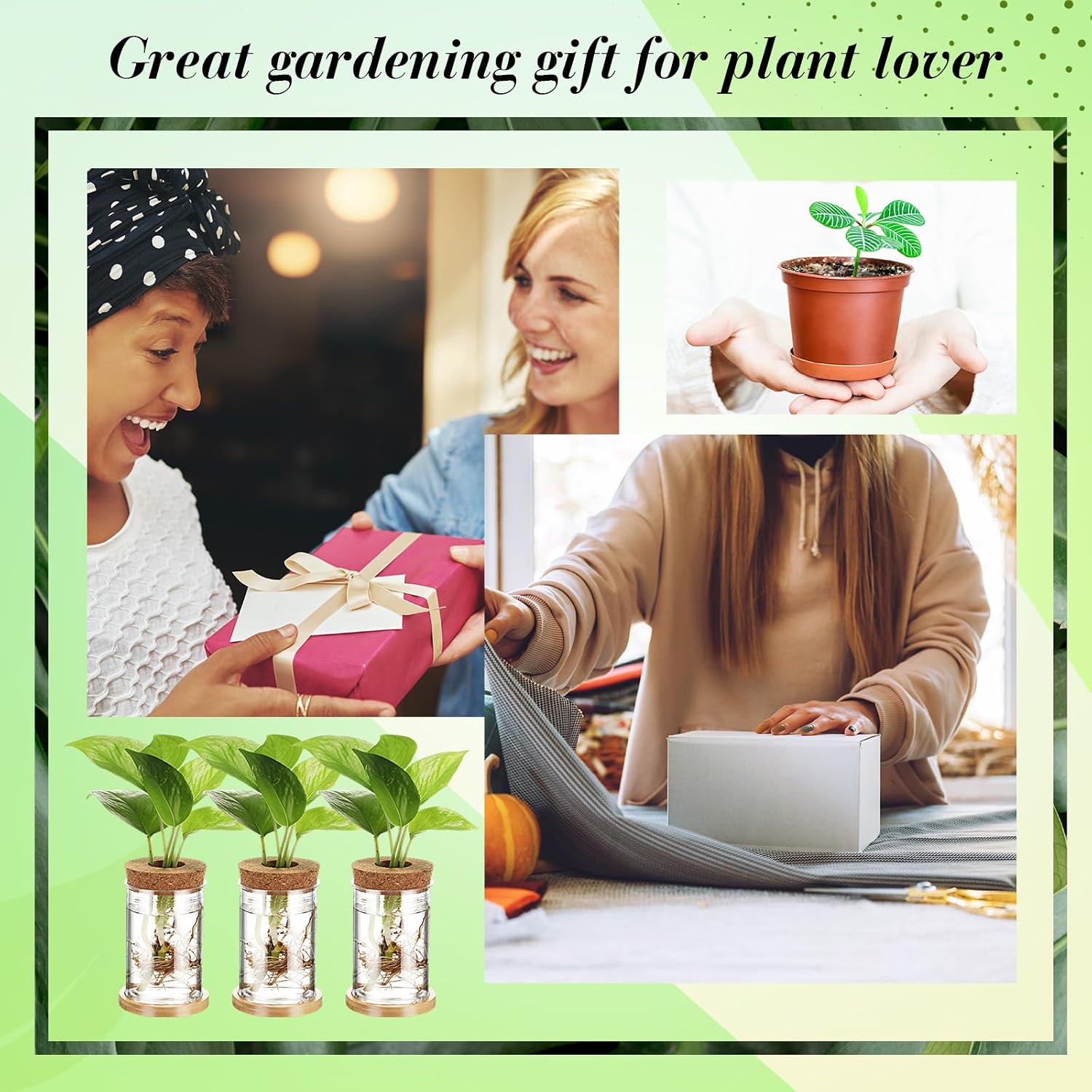 9 Packs Propagation Vases for Plants Plastic Plant Propagation Station with Hole Lid and Bamboo Stand Growing in Water