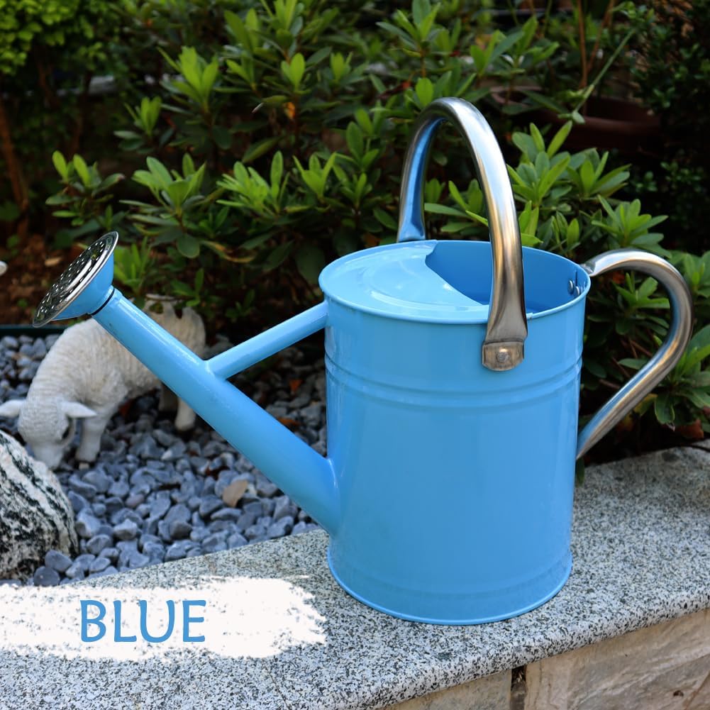 Metal Watering Can, 1 Gallon for Outdoor Garden Plants, Blue | Watering Cans Stainless Steel Handhold with Removable
