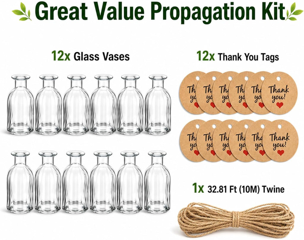 12 Pack Propagation Vases for Plants Small Glass Vase for Flower | 5.71'' Glass Plant Propagation Stations, Clear