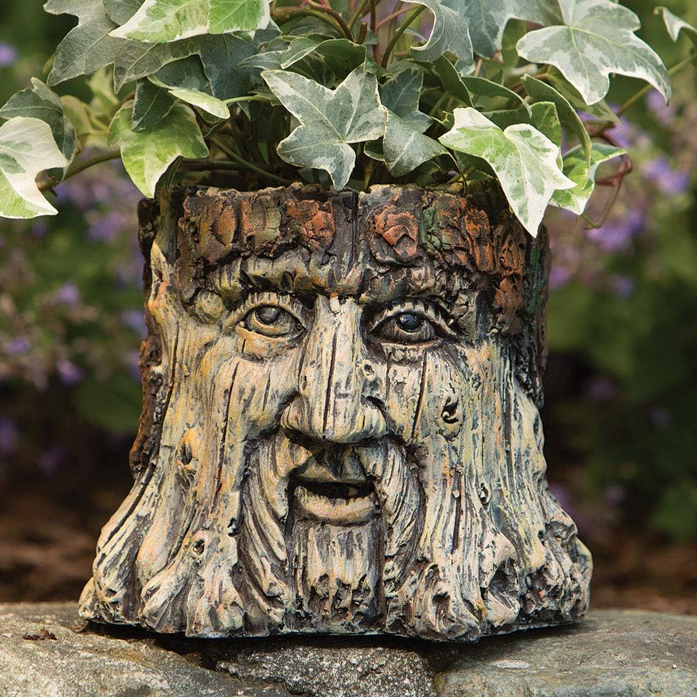Bits and Pieces - Tree Face Garden Planter Flower Pot - 5 1/2 Inch | Durable Polyresin Indoor-Outdoor Urn for Plants