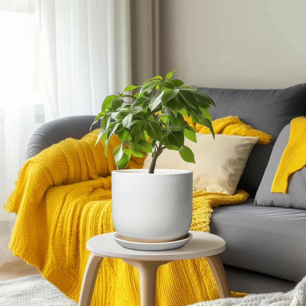 Ceramic Plant Pot - Modern 8 Inch Round Planter for Indoor Outdoor Plants with Drainage Hole and Saucer, Home House