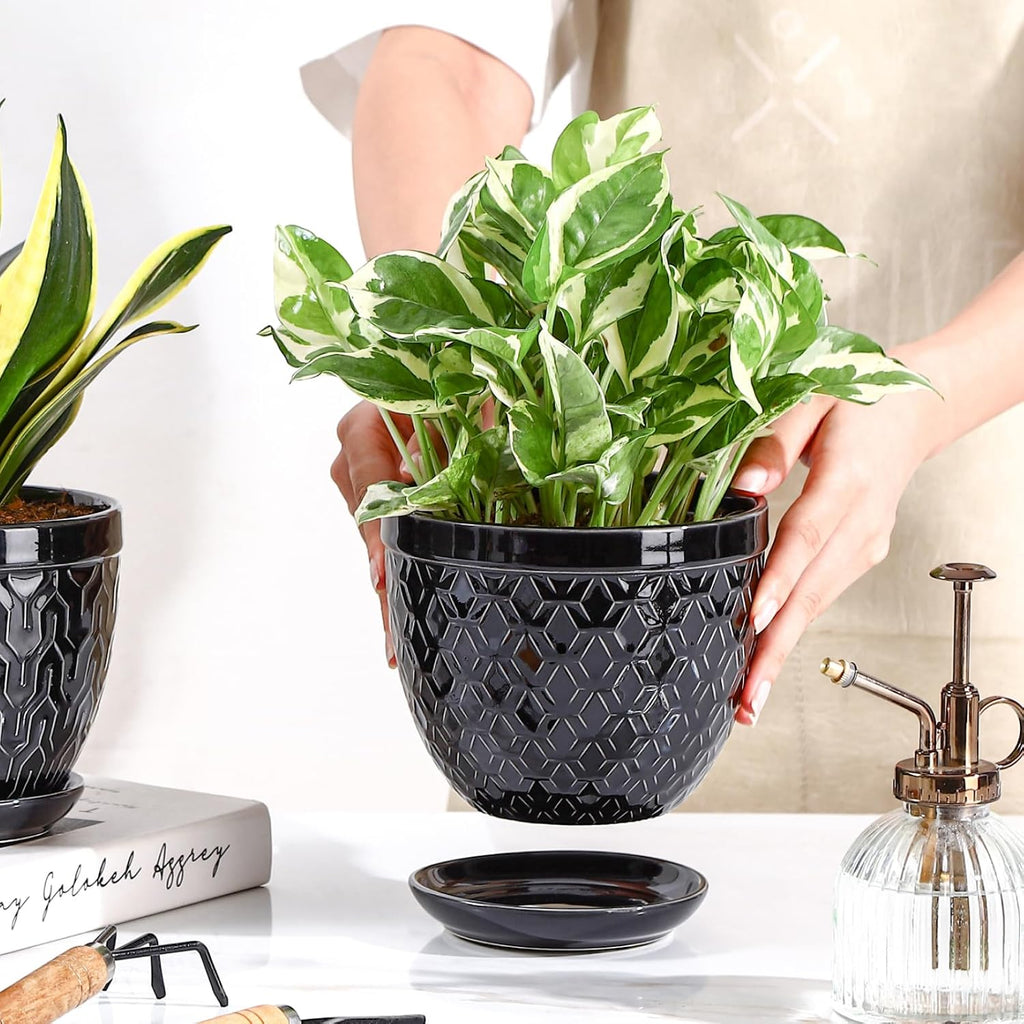Sureasy Ceramic Indoor Plant Pots - 5.6 Inch Flower Pots for Plants with Drainage Hole and Saucer, Embossed Planter for