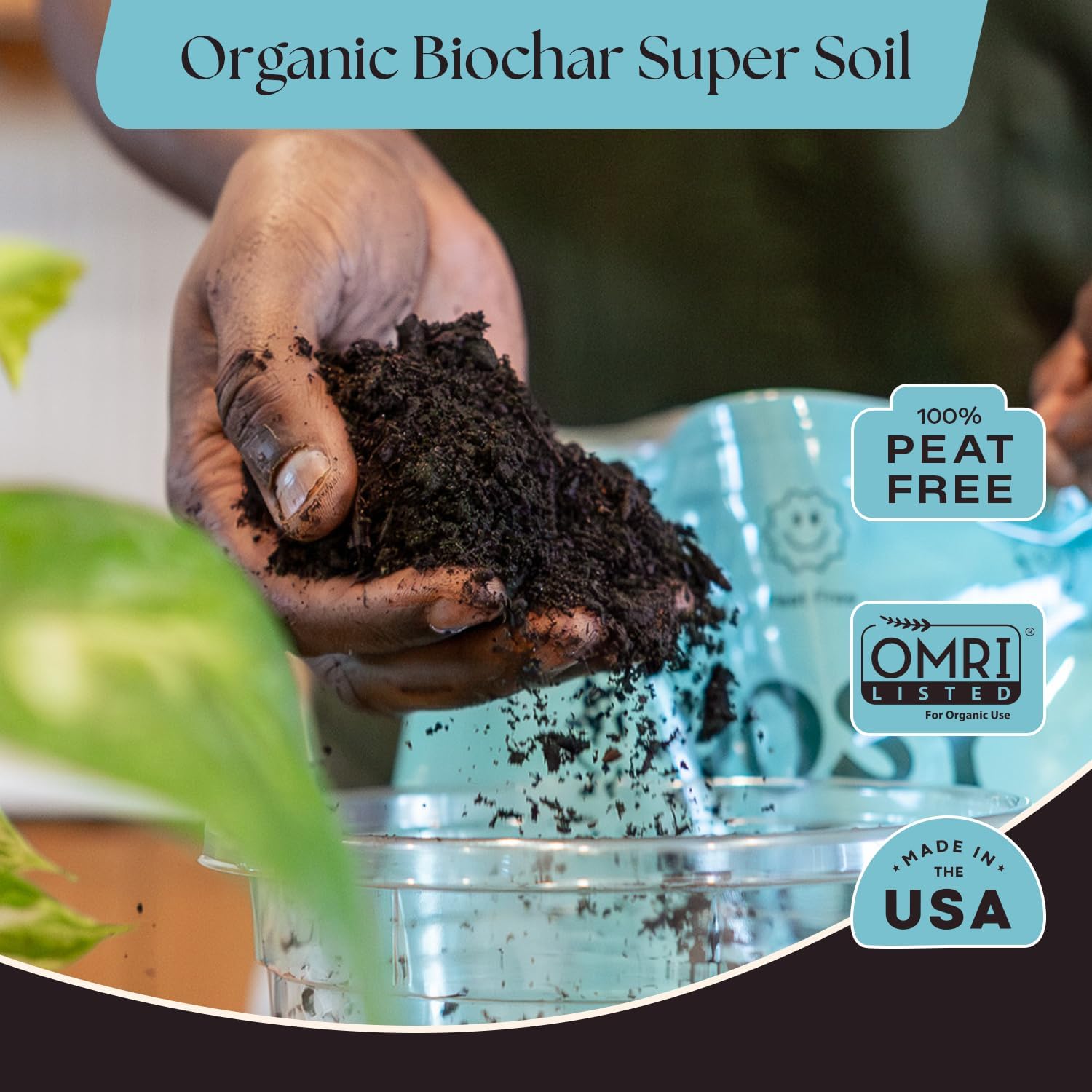 Rosy Soil Houseplant Potting Soil, Organic Indoor Potting Mix, 8 Quarts | Biochar and Worm Castings, For Monstera