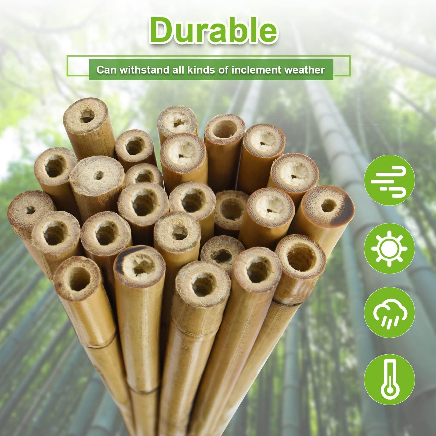 Jollybower 25pcs 1/2" D Thicker Heavy Duty Bamboo Stakes, 4FT Plant Stakes, Natural Garden Stakes for Tomato, Bean