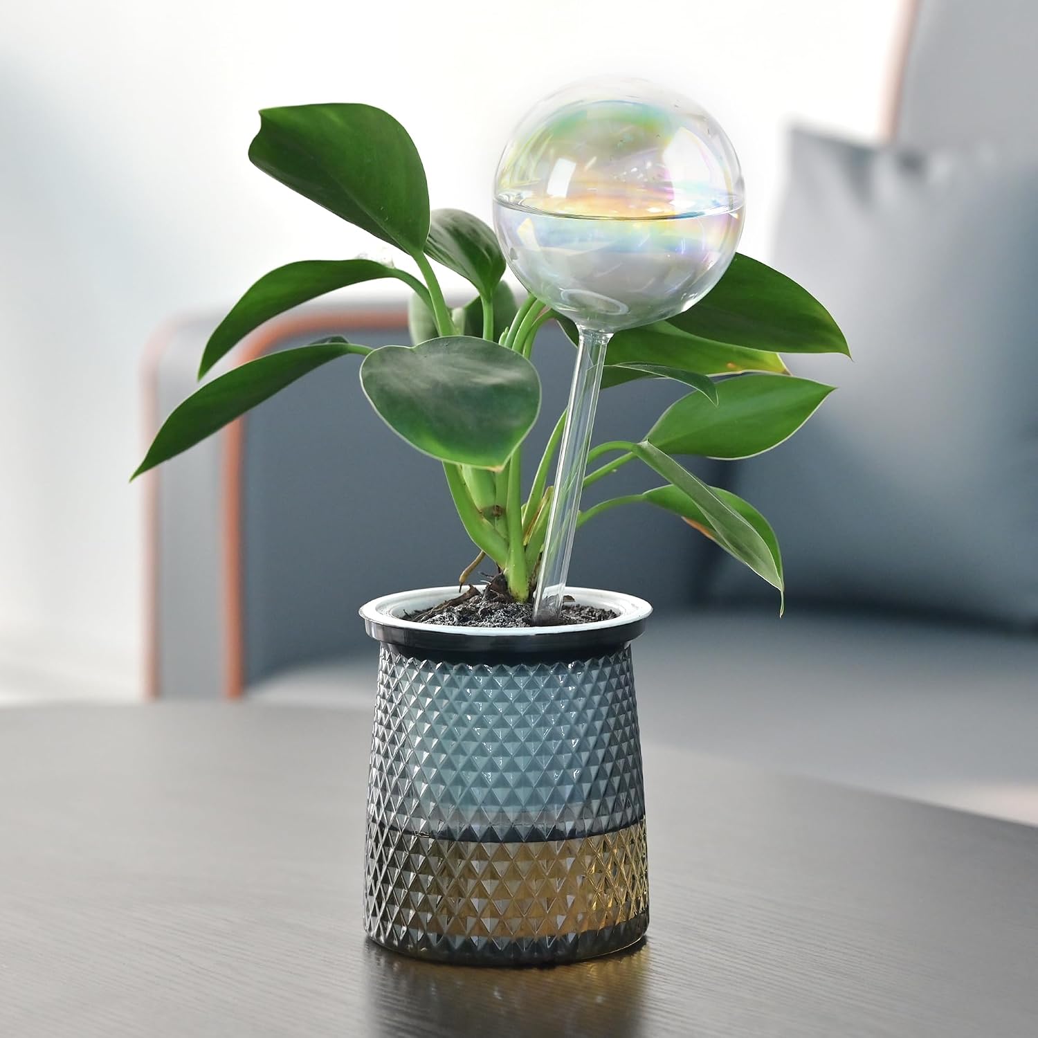 Large Self Watering Globes,Glass Automatic Plant Waterer for Vacation/Daily | Rainbow Gradient Glass Spikes,Slow
