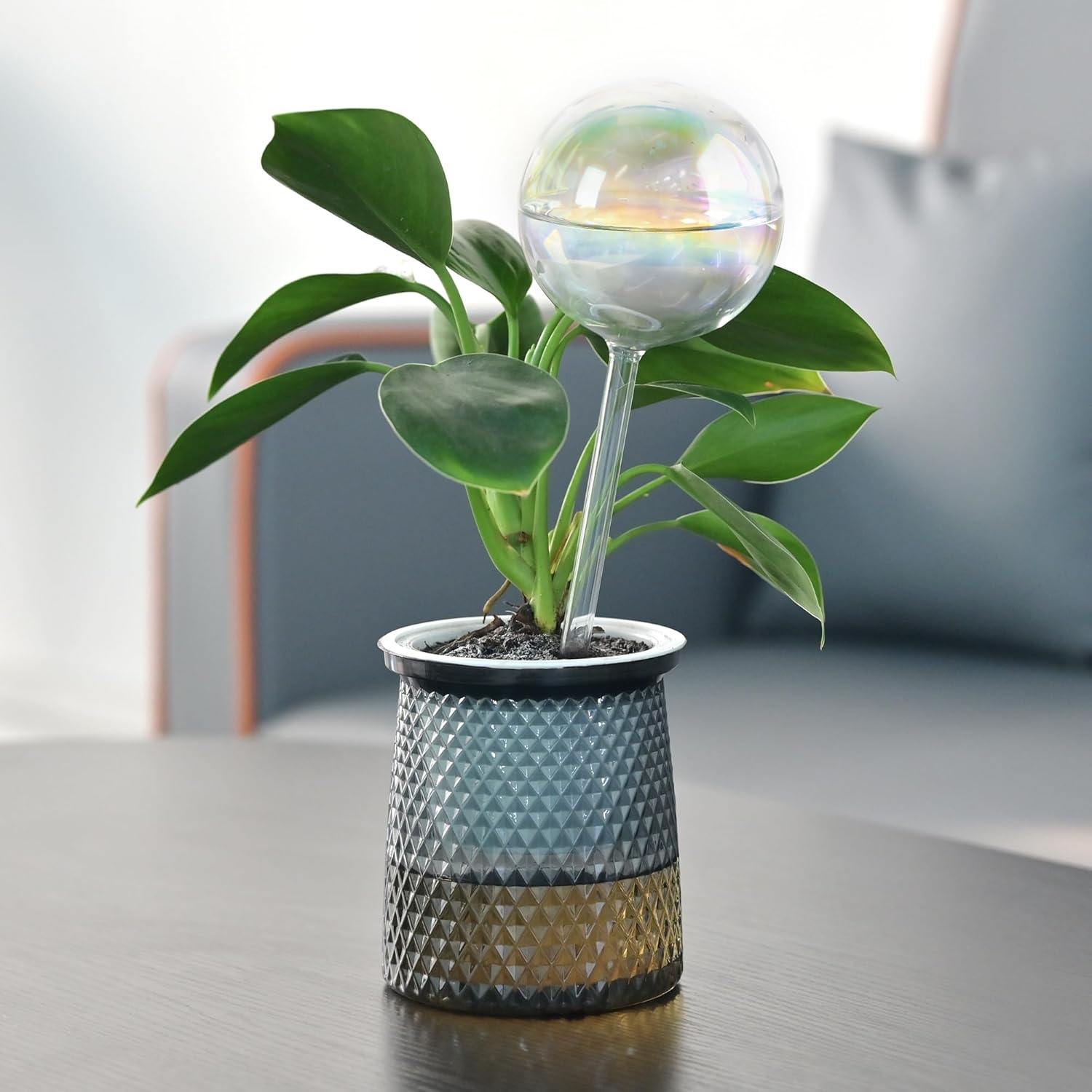 Glass Self Watering Globes,Automatic Plant Waterer for Vacation & Daily | Rainbow Gradient Glass Spikes,6.5oz Self