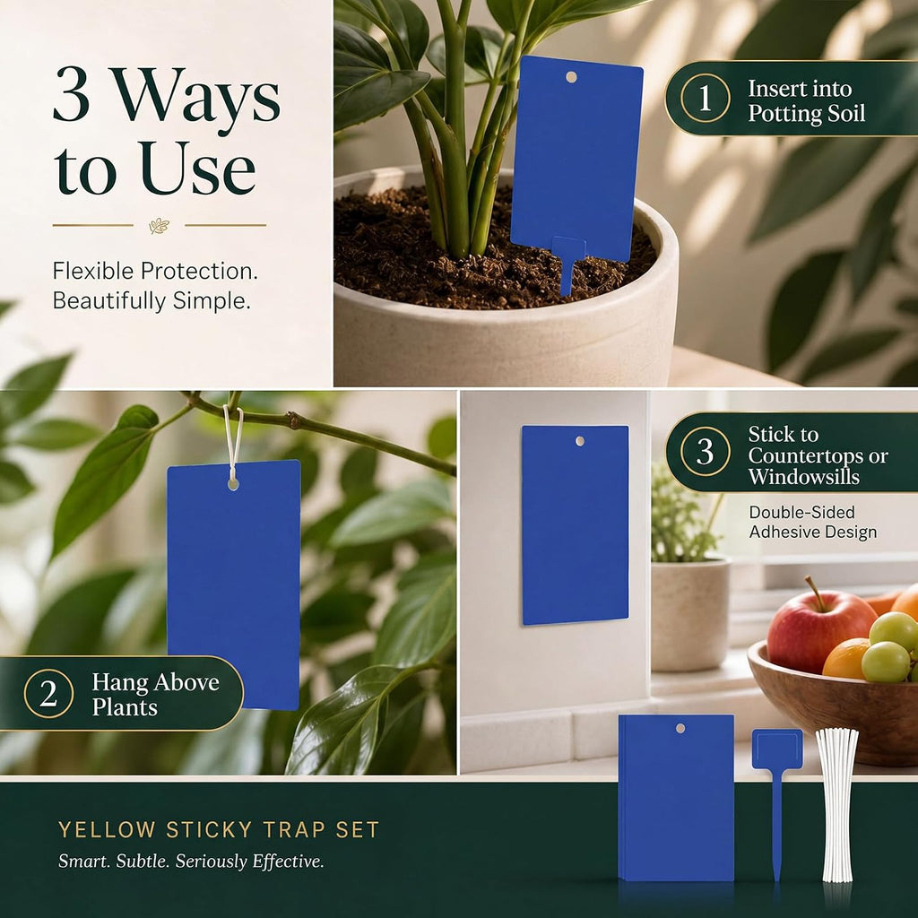 Qualirey 100 Pcs 6 x 8 in Blue Sticky Traps for Gnats Plant Insect Trap | Dual Sided Strong Sticky, Fungus Fruit Flies