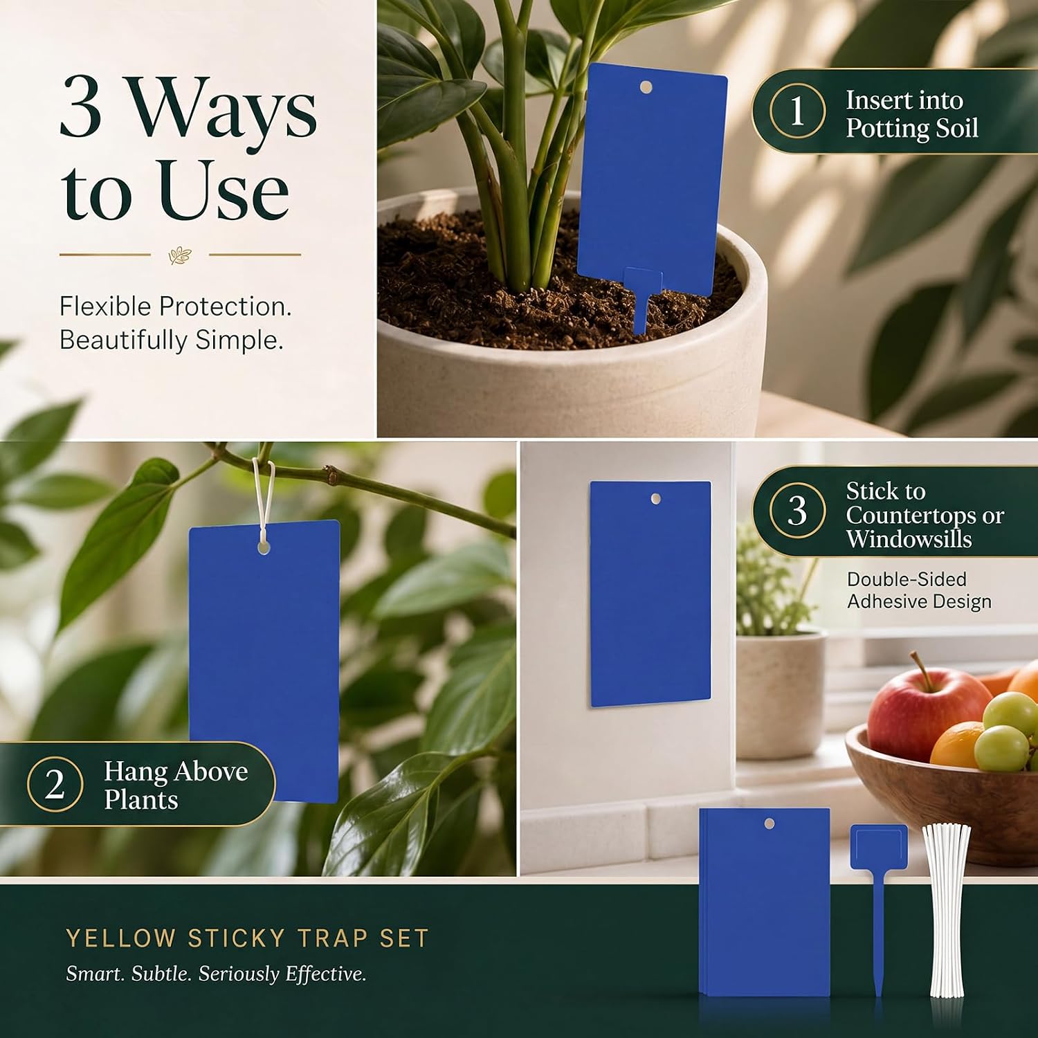 Qualirey 100 Pcs 6 x 8 in Blue Sticky Traps for Gnats Plant Insect Trap | Dual Sided Strong Sticky, Fungus Fruit Flies