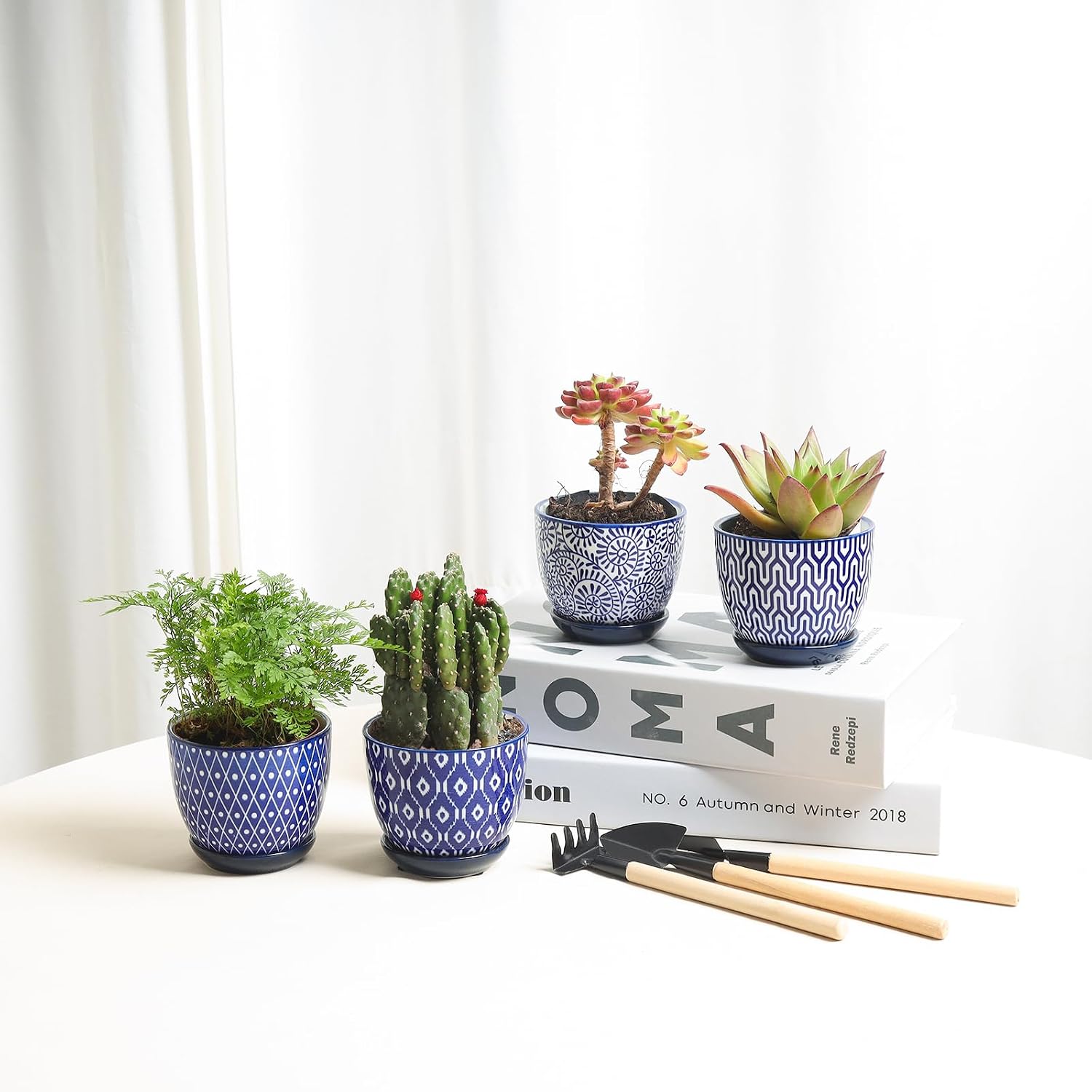 Selamica Ceramic Succulent Pots, 3.5 Inch Small Plant Pots for Indoor Plants Cactus Herbs, Succulent Planters with