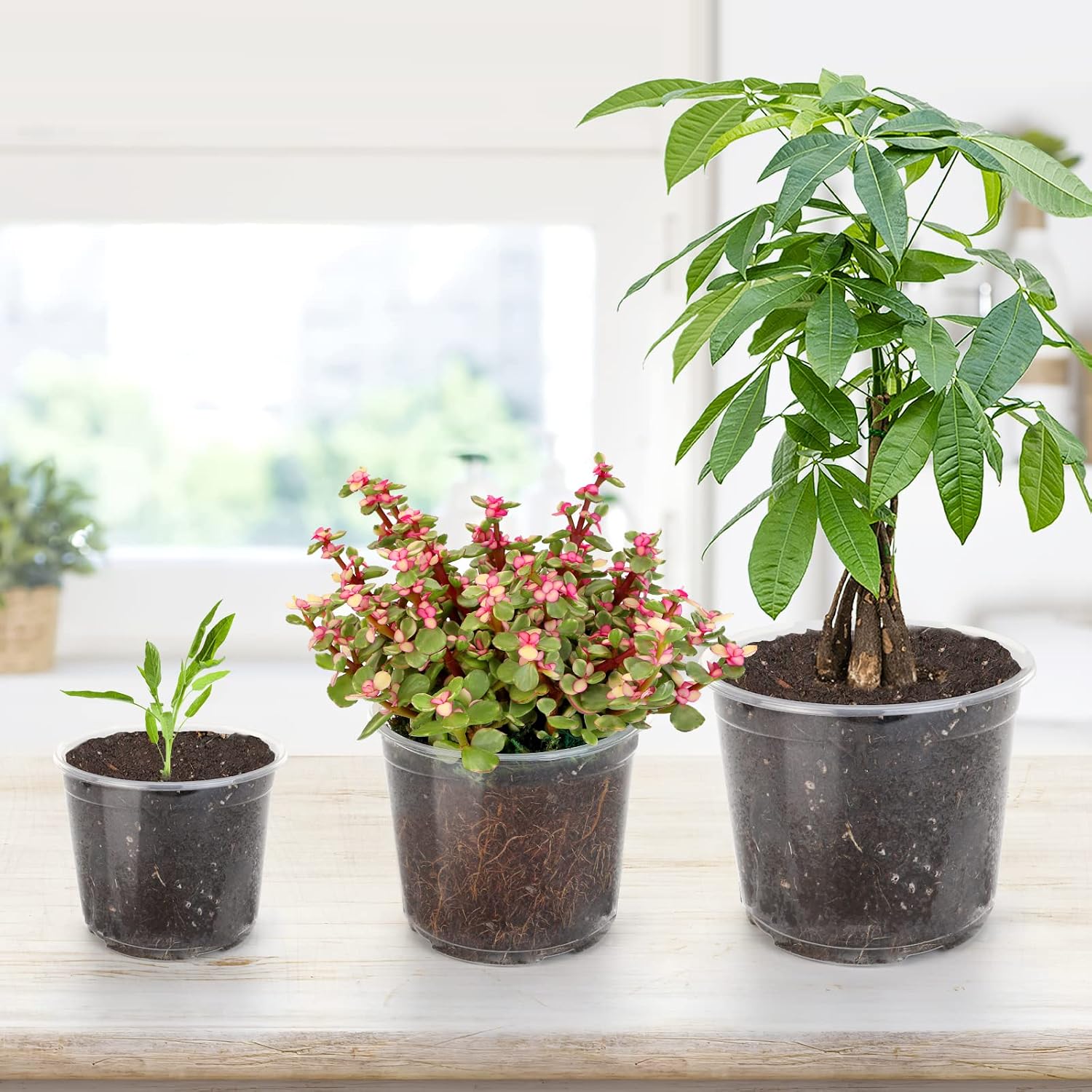 OUPSAUI 28 Pack 4/5/6/7 Inch Clear Nursery Pots for Plants with Drainage Holes, Clear Plastic Seedling Flower Plant Pot