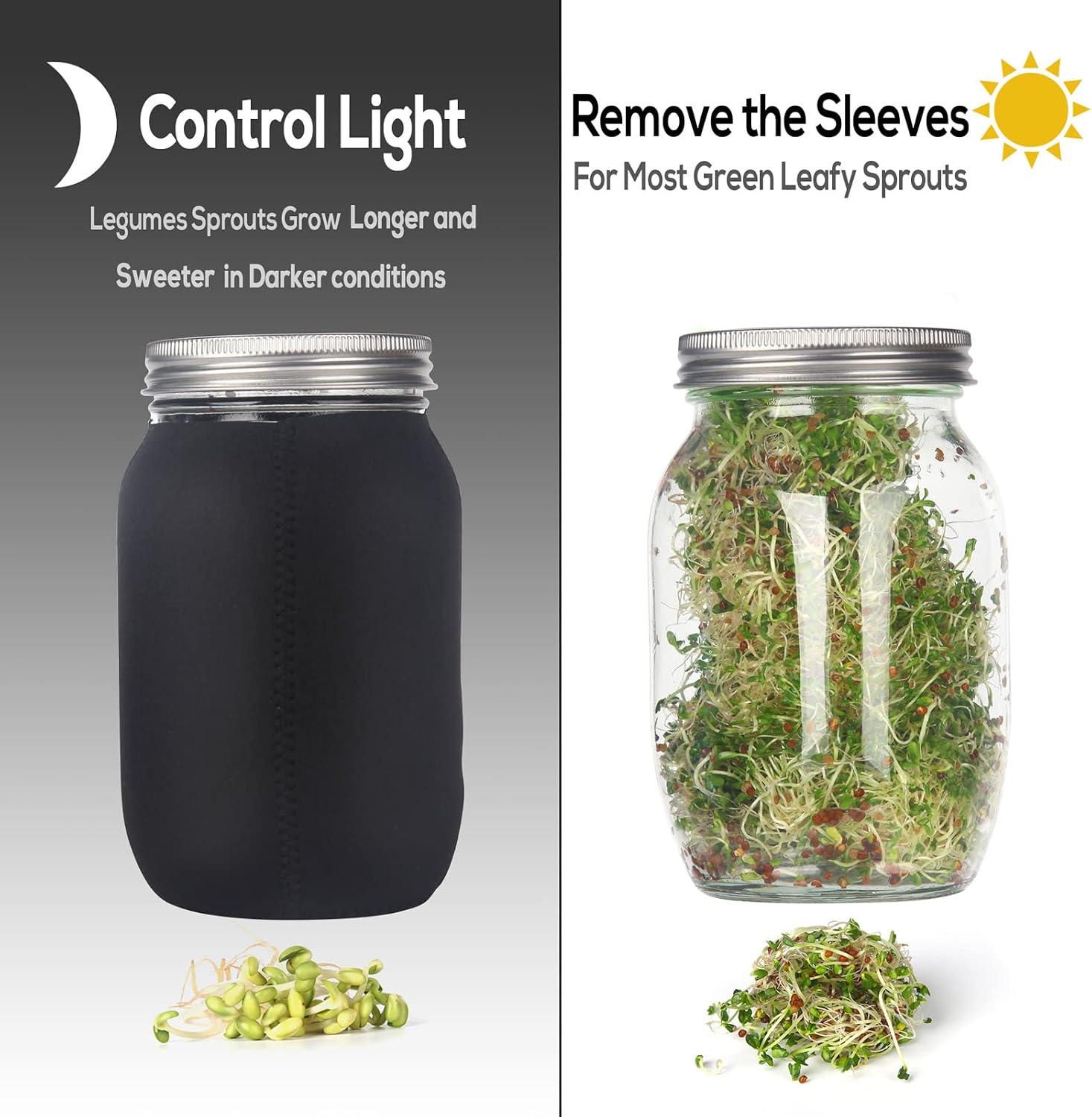 Sprouting Jar Kit-2 Wide Mouth Quart Mason Jars with 316 Stainless Steel Screen Sprout Lids, Drip Tray, Stand | Seed