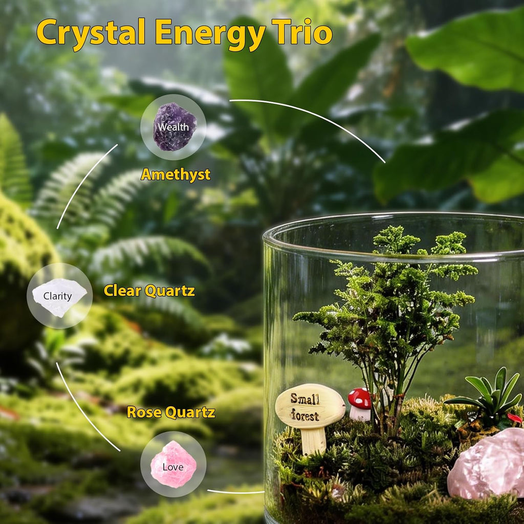 DIY Crystal Terrarium Kit - 21-Pieces All-In-One Starter Kit with Preserved Moss, Pumice, Crystals, Coconut Coir, Tools