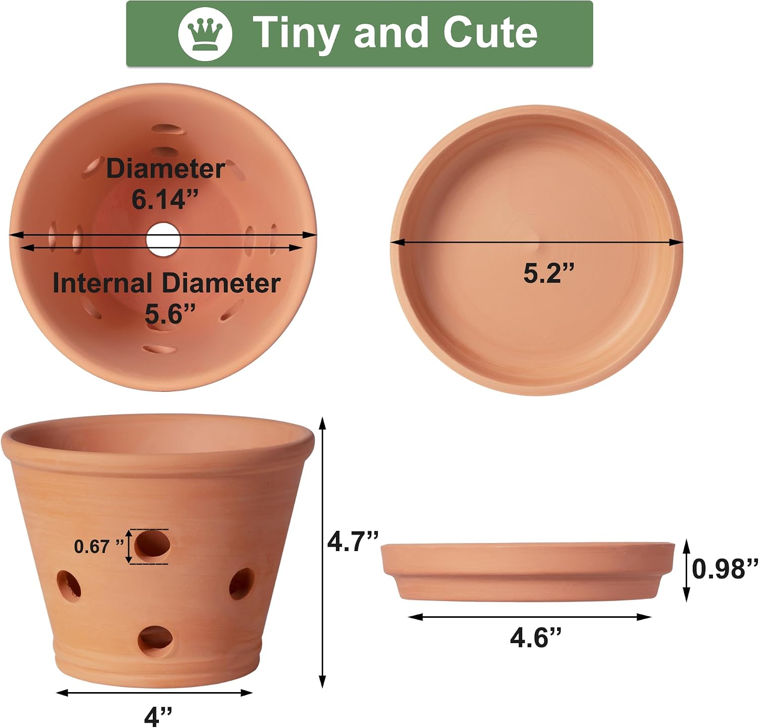 6 Inch Terracotta Orchid Pots with Holes, Saucers - 3 Pack Clay Orchid Planter Pots for Repotting, Small Terra Cotta