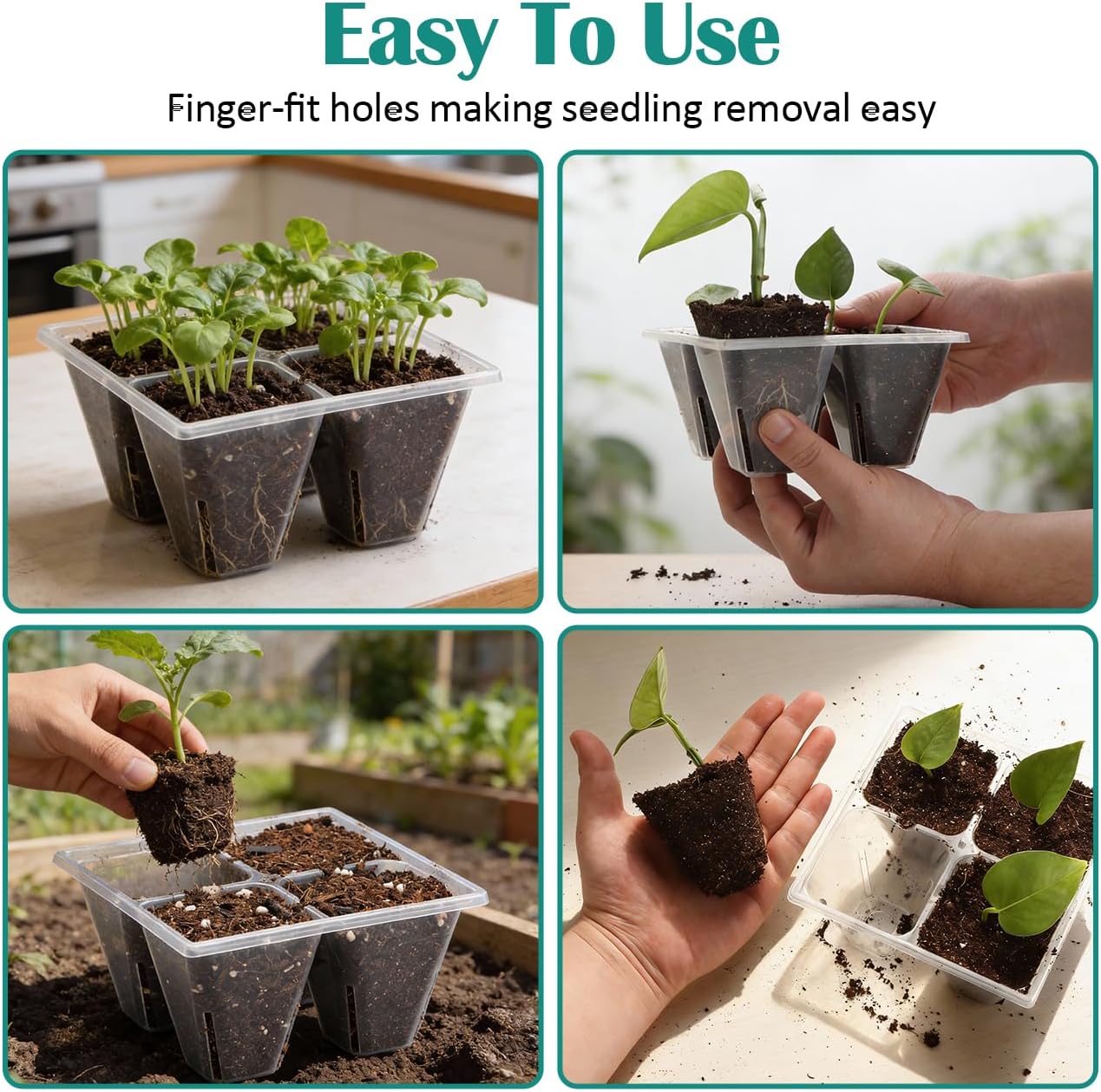 RooTrimmer 40 Pack Reusable 4-Cell Seed Starter Trays with Large Drainage Holes - Clear Transparent Trays for Root