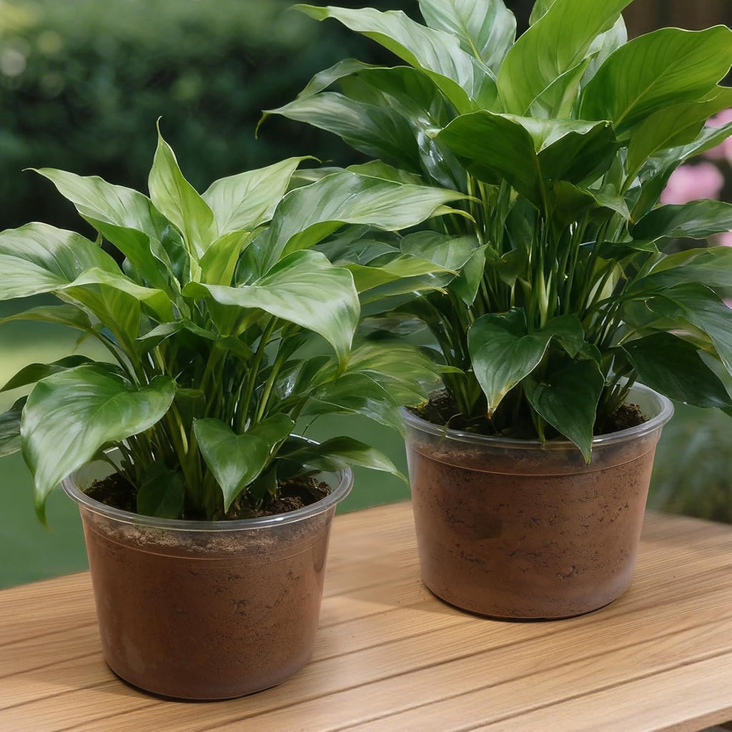 4/6/8/10 Inch Large Size Clear Nursery Pots for Plants, 16 Pack Plastic Plant Pots with Drainage Holes, Durable