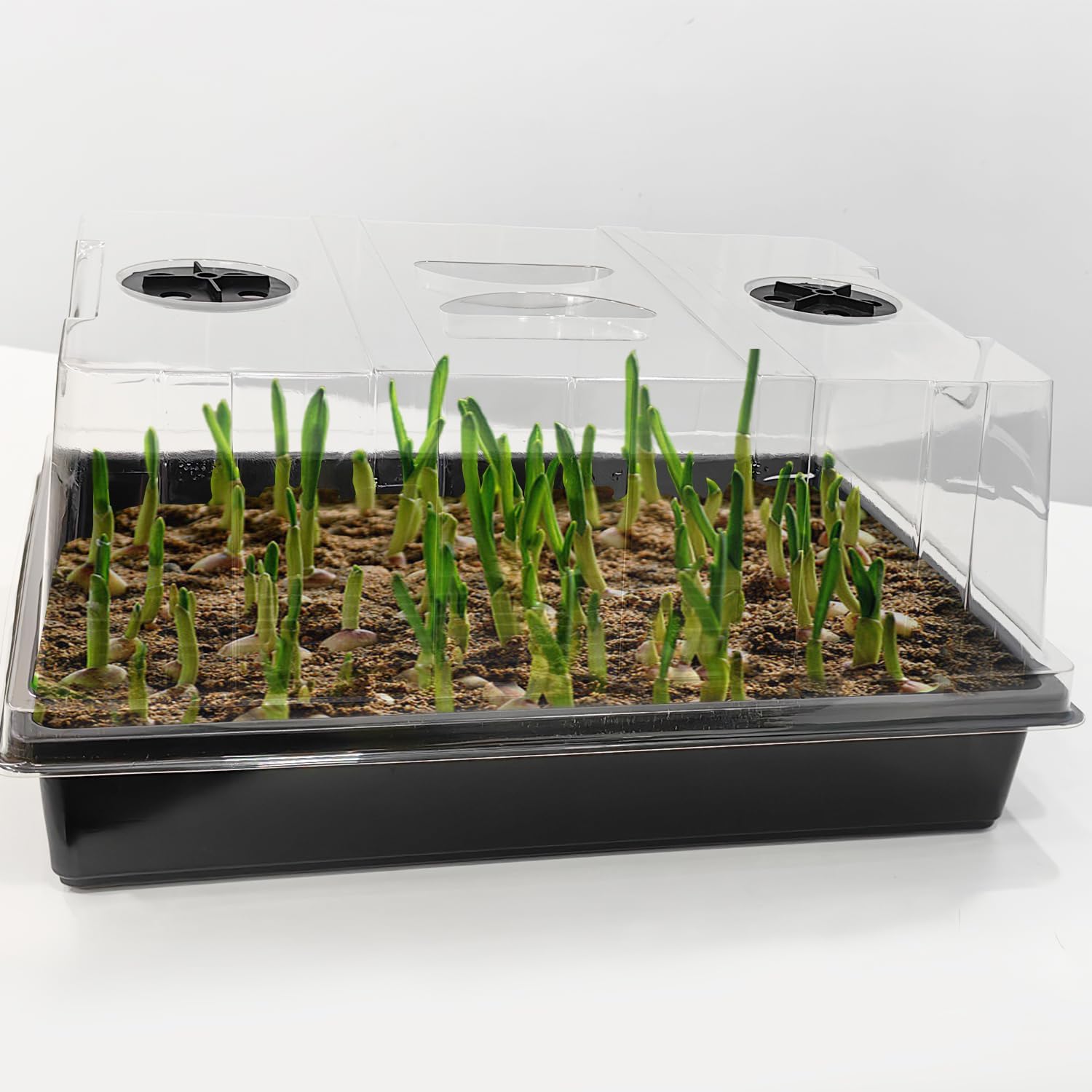 RooTrimmer 4-Pack Seed Starter Trays with 5" Tall Humidity Domes | Reusable Seed Germination Kit for Cuttings