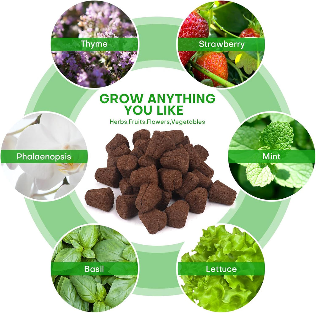 40 Pcs Grow Sponges with Tray, Plant Starter Plugs for Cuttings, Great for Soil, Tray or Planting Pods Plant Rooter