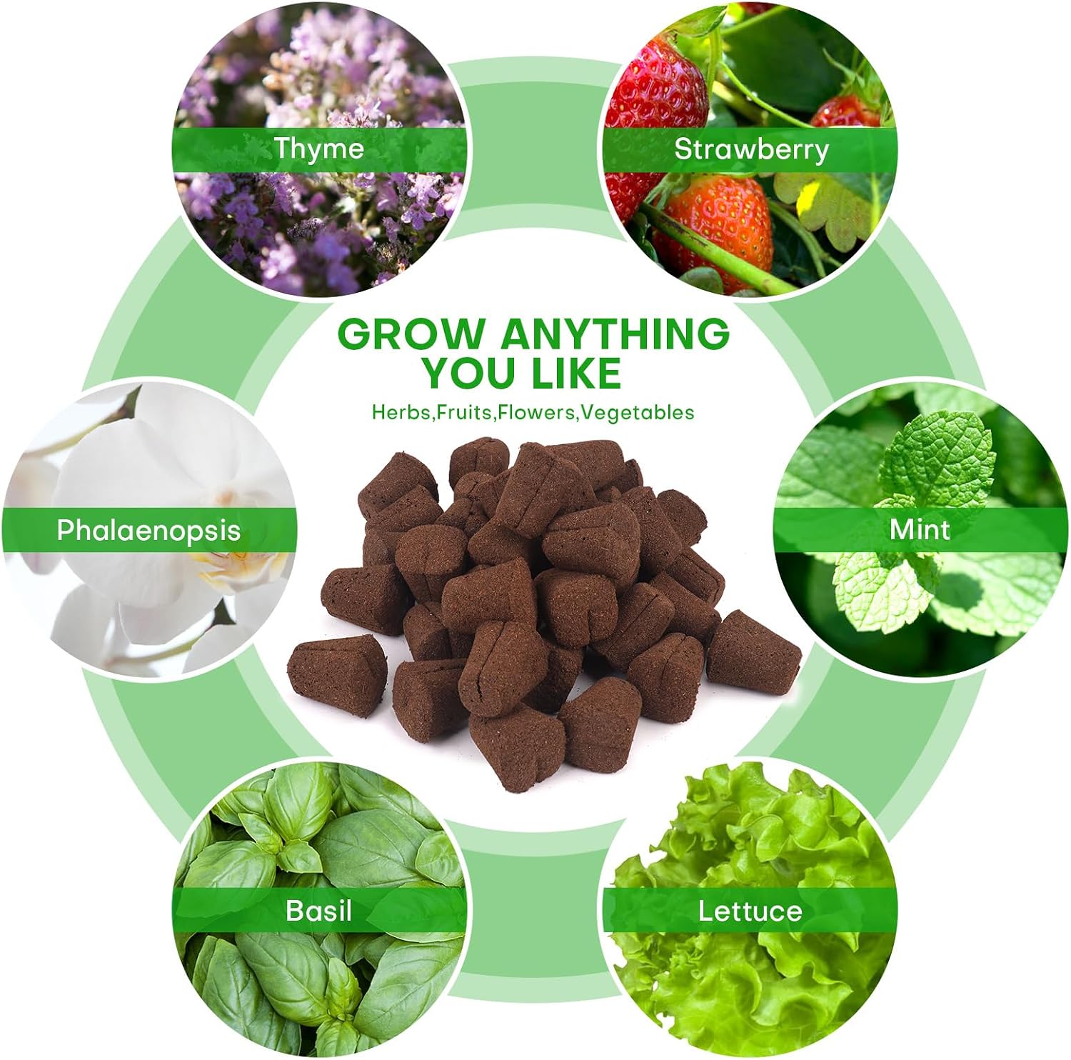 40 Pcs Grow Sponges with Tray, Plant Starter Plugs for Cuttings, Great for Soil, Tray or Planting Pods Plant Rooter