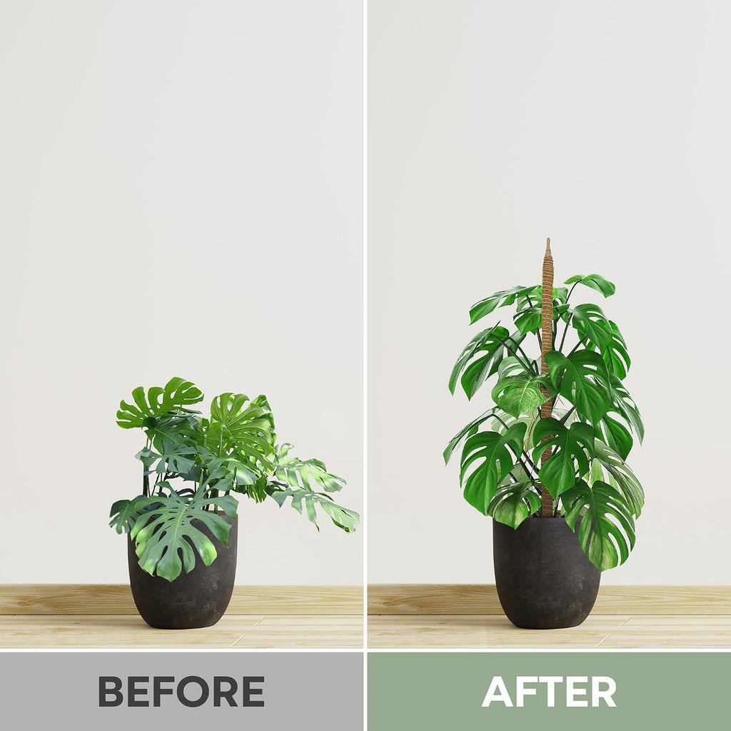 K-Brands 4 Pack Moss Pole Bundle - 2 x 63'' + 2 x 25'' Monstera Plant Support - Moss Poles for Climbing Plants Monstera