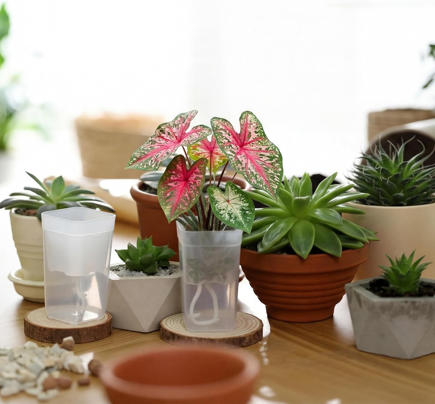 LemonRoad 20 Pack 2" Small Self Watering Pots for Indoor Plants | with 20 Plant Label, Mini Clear Plastic Planters with