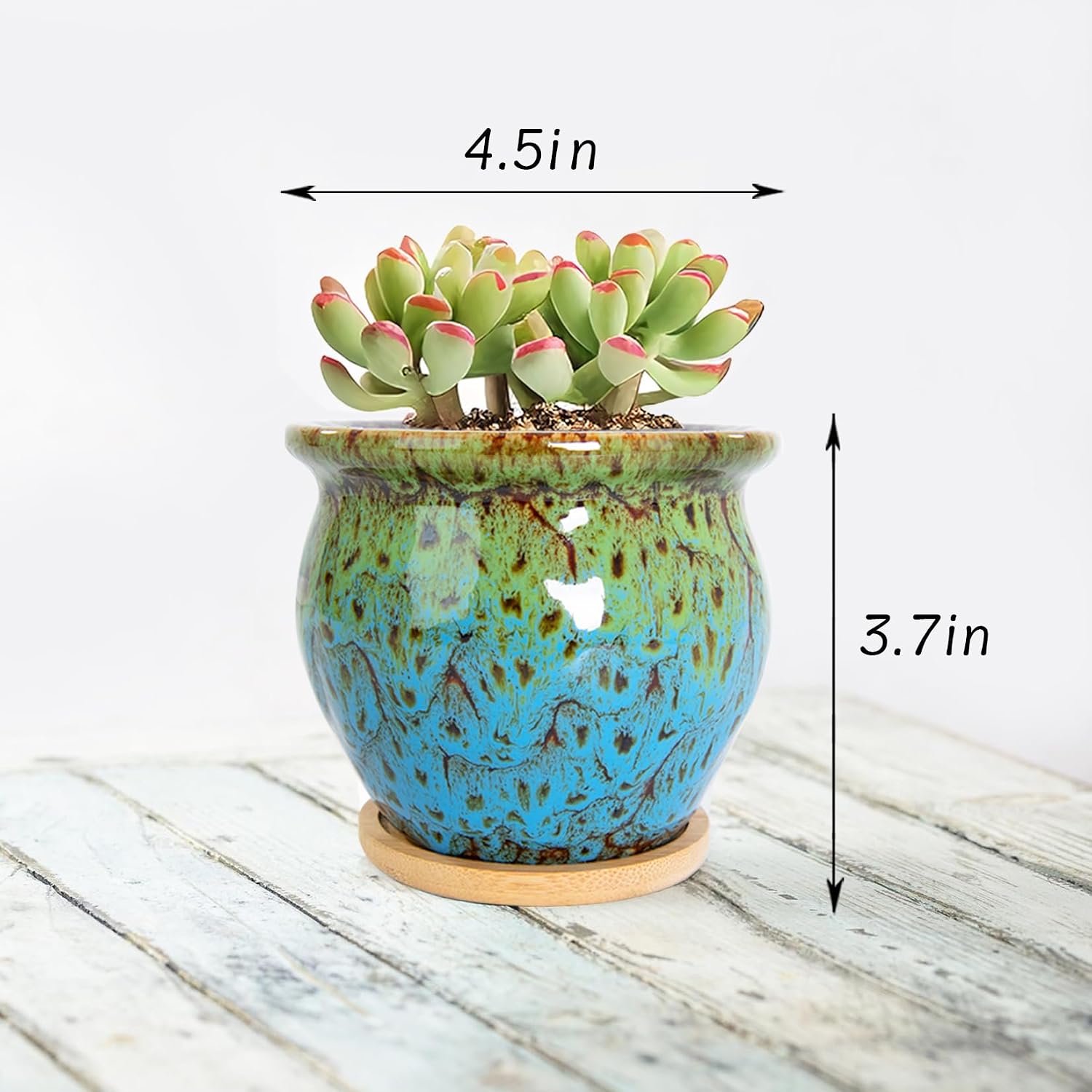ARTKETTY Succulent Pots - 4 Pack Small Plant Pots with Drainage Tray | 4.5 Inch Ceramic Planters for Indoor Plants