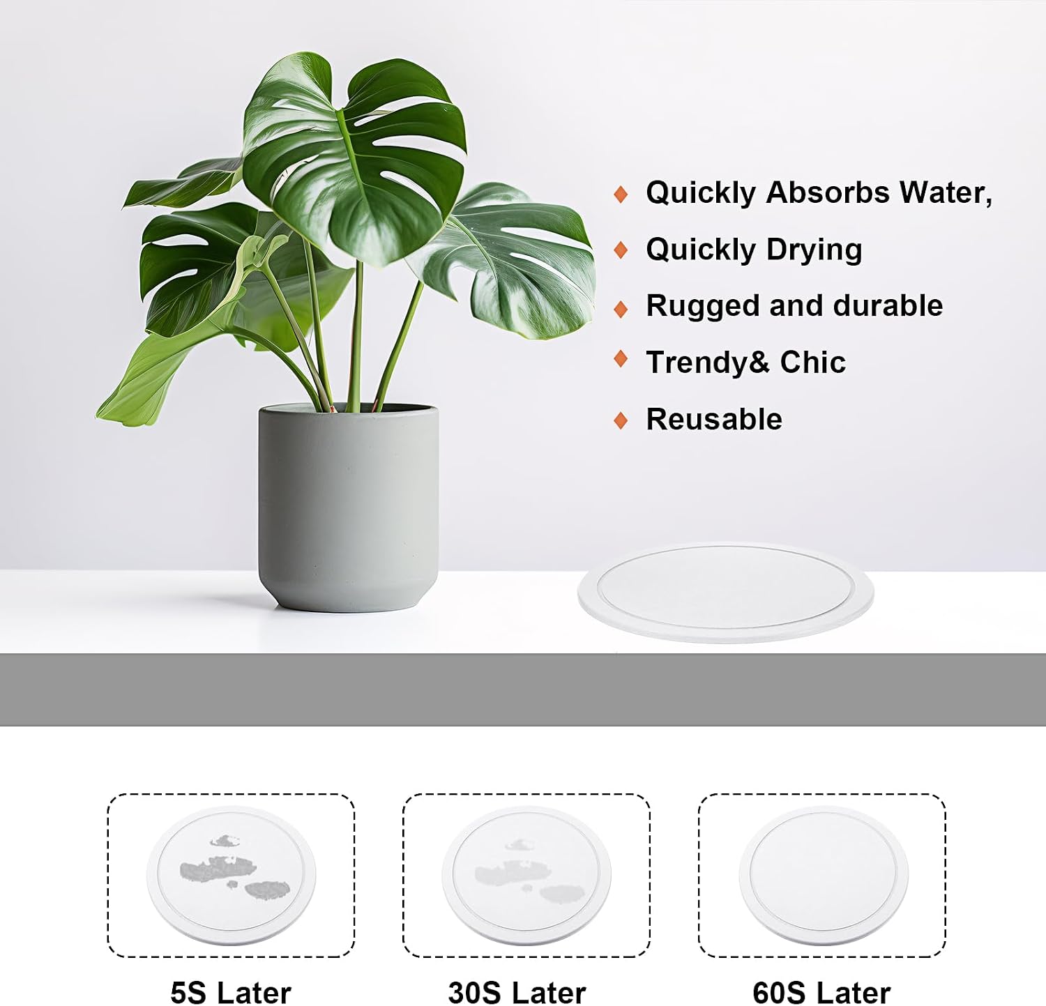 Drydiet 3 Pack Diatomaceous Earth Plant Saucer Set 6/8/10 Inch Quick Dry Absorbent Plants Tray Absorbing Plant Tray for
