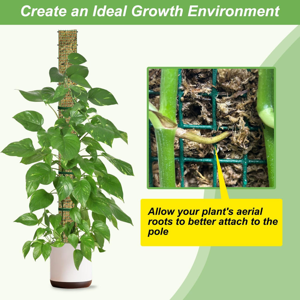 60"/40"/24" Metal Moss Pole, D Shape Sphagnum Moss Pole, Moss Poles for Climbing Plants, Monstera, Indoor Climbing