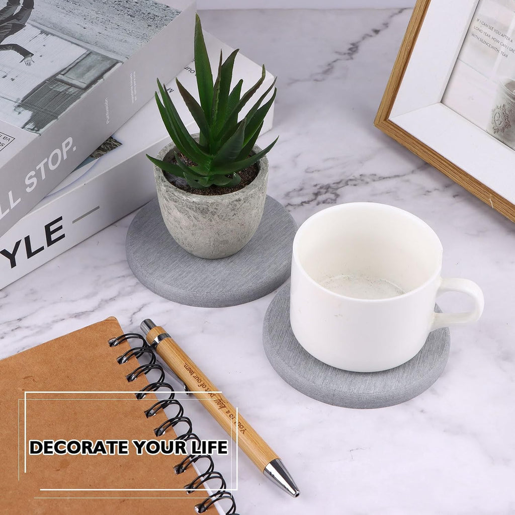12Pcs Diatomaceous Earth Coaster 4/6/8inch Diatomite Plant Saucer Stone Plant Sourcer Instant Dry Water Absorbent