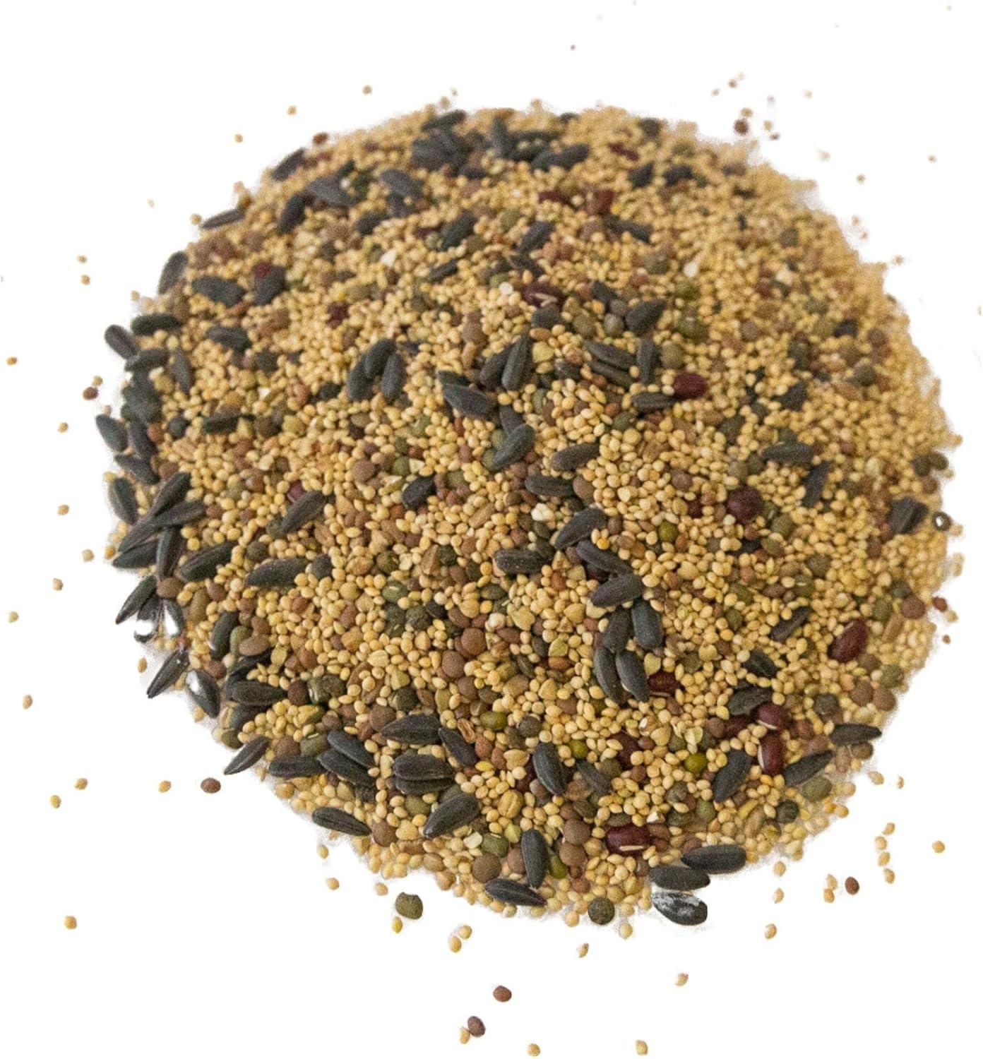 Handy Pantry Organic Birdseed - 5 Lb - Sprouting Bird Seed Mix for Small | Medium & Large Birds- Feed for Songbirds