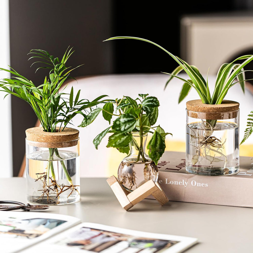 Plant Propagation Station, 2 Style Glass Planter Terrarium Set for Hydroponic Plants | Home Office Tabletop Decor