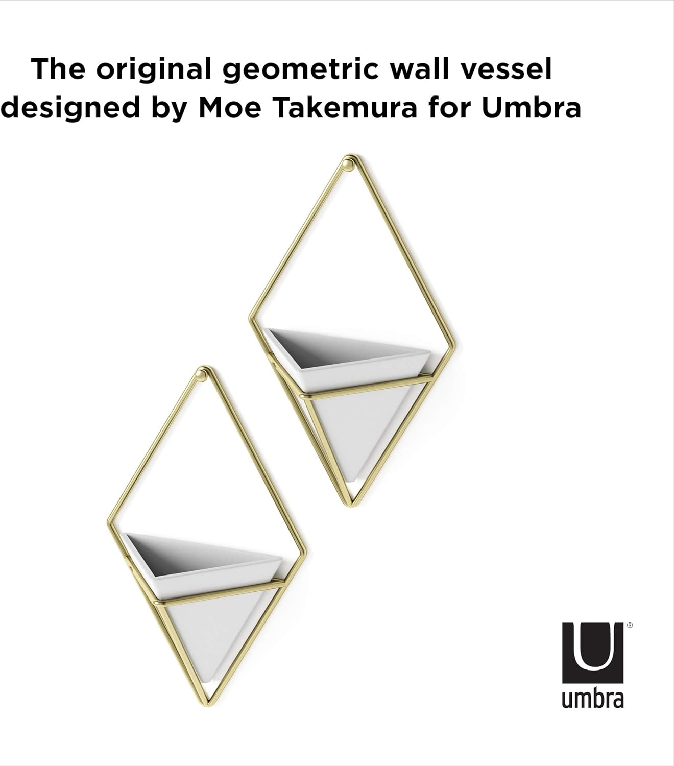 Umbra Trigg Hanging Planter for Small Plants, Set of 2, Small, White/Brass
