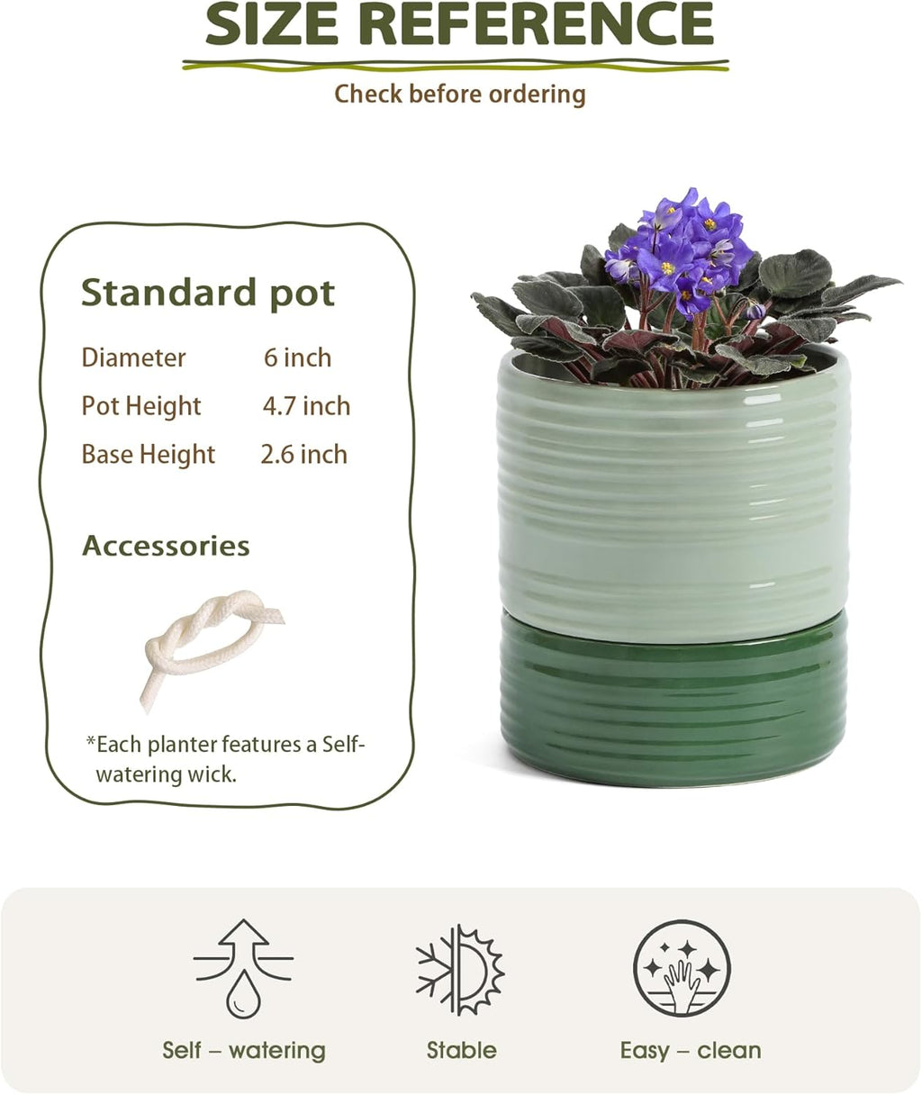 Fayoula Self Watering Pots for Indoor Plants, 6 Inch Ceramic Self Watering Plant Pot, Planter Pot with Wick Rope and
