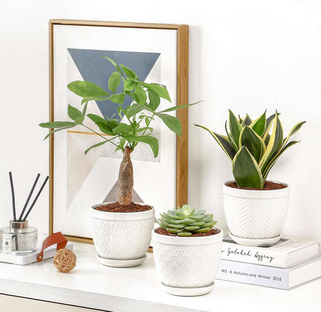 Sureasy Ceramic Indoor Plant Pots - 5.6 Inch Flower Pots for Plants with Drainage Hole and Saucer, Embossed Planter for