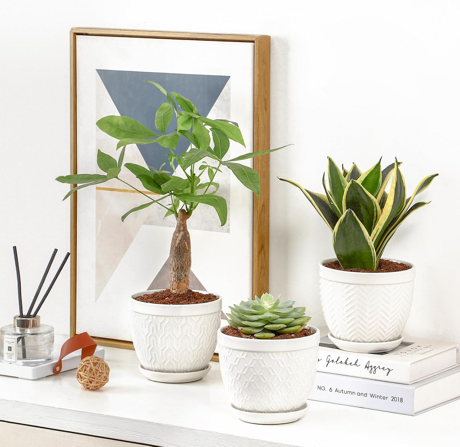 Sureasy Ceramic Indoor Plant Pots - 5.6 Inch Flower Pots for Plants with Drainage Hole and Saucer, Embossed Planter for