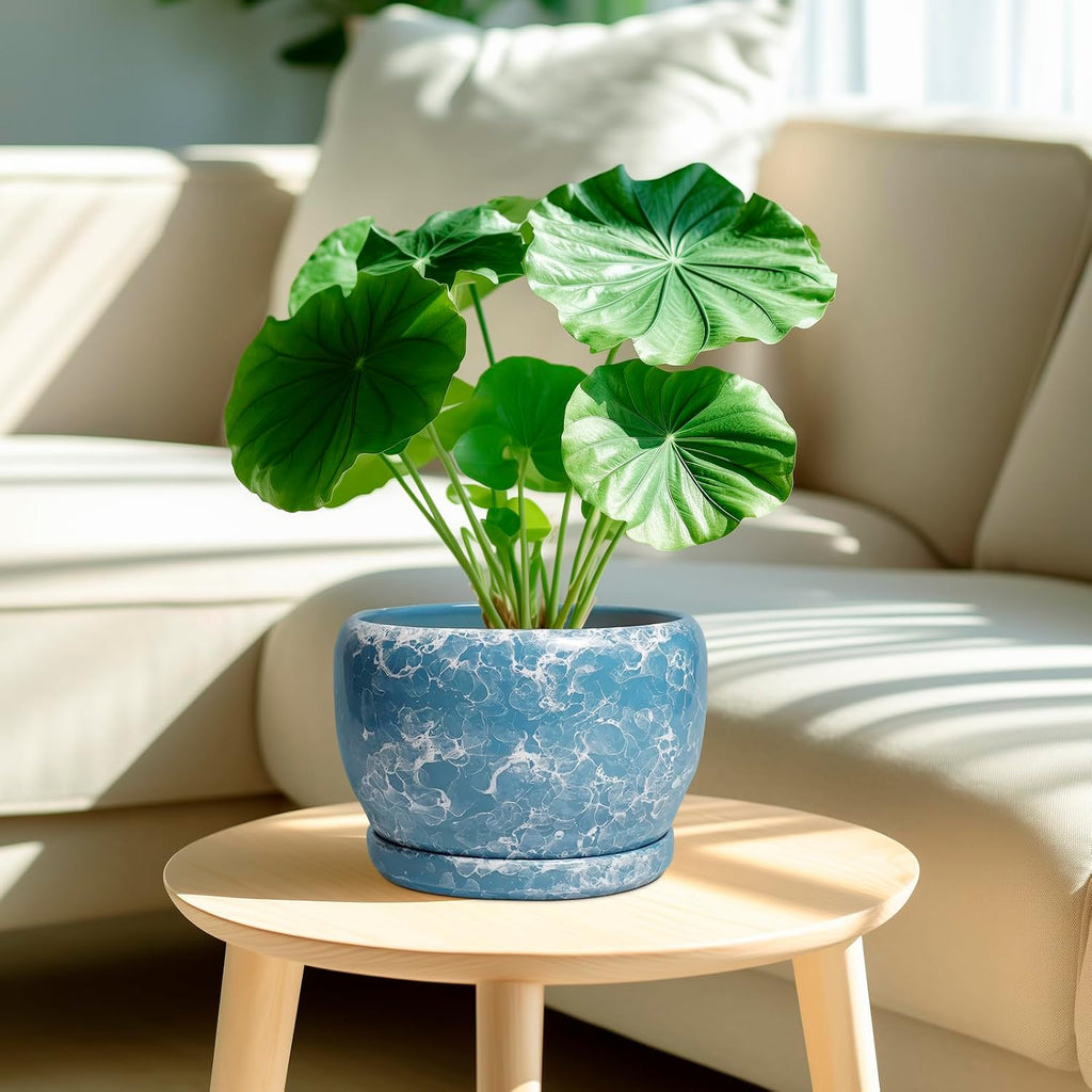 SQOWL Ceramic Pots for Plants - 8 Inch Ceramic Planter for Indoor Outdoor, Decorative Flower Pot with Drainage Hole and