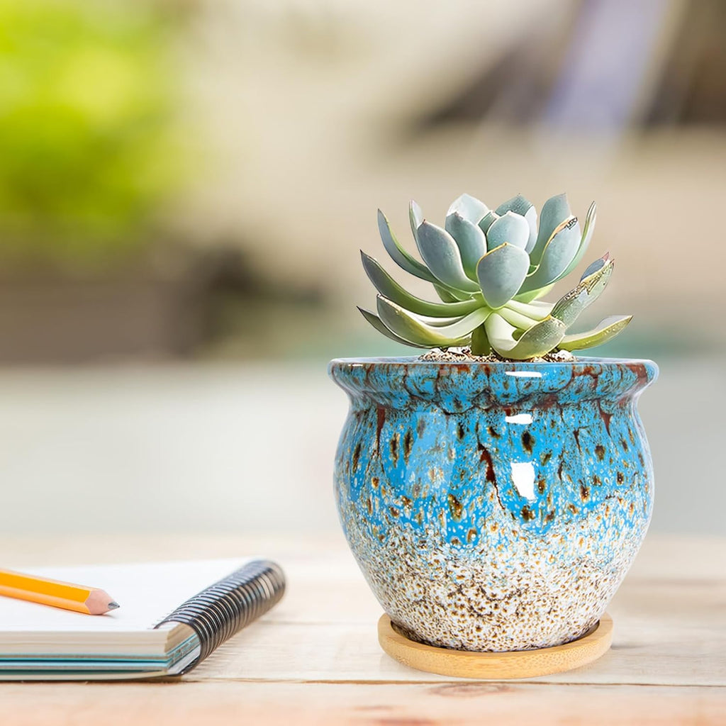 ARTKETTY Succulent Pots - 4 Pack Small Plant Pots with Drainage Tray | 4.5 Inch Ceramic Planters for Indoor Plants