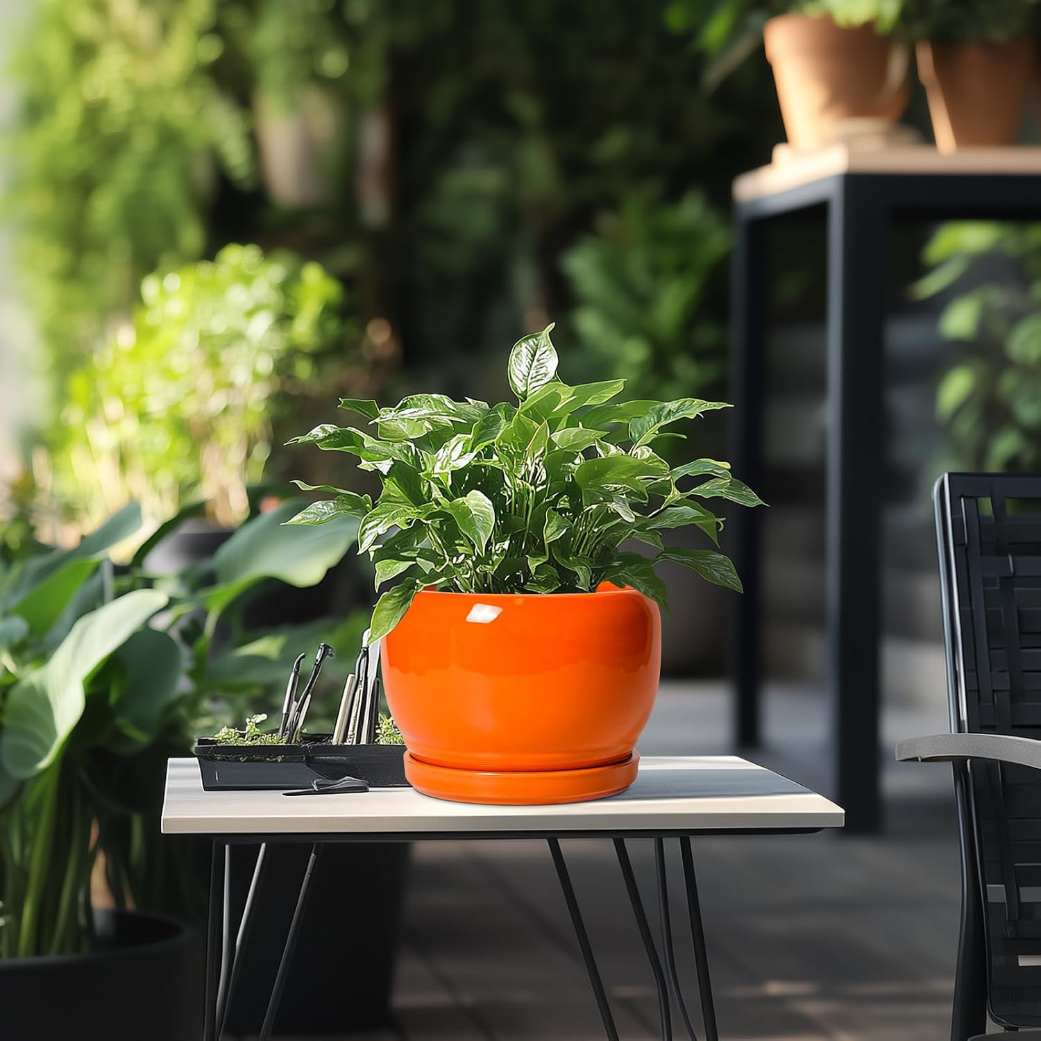 SQOWL Ceramic Pot for Plants - 8 Inch Plant Pot Indoor Outdoor, Modern Round Planter with Drainage Hole and Saucer