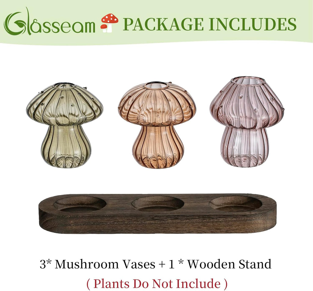 Glasseam Mushroom Plant Propagation Station: 3 Pcs Glass Terrarium Jar | Handmade Small Hydroponic Planter with Wood