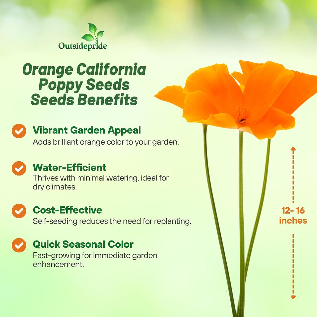 Outsidepride Eschscholzia Orange California Poppy Seeds - 1 lb. Annual, Native, Drought Tolerant Wildflower Seeds