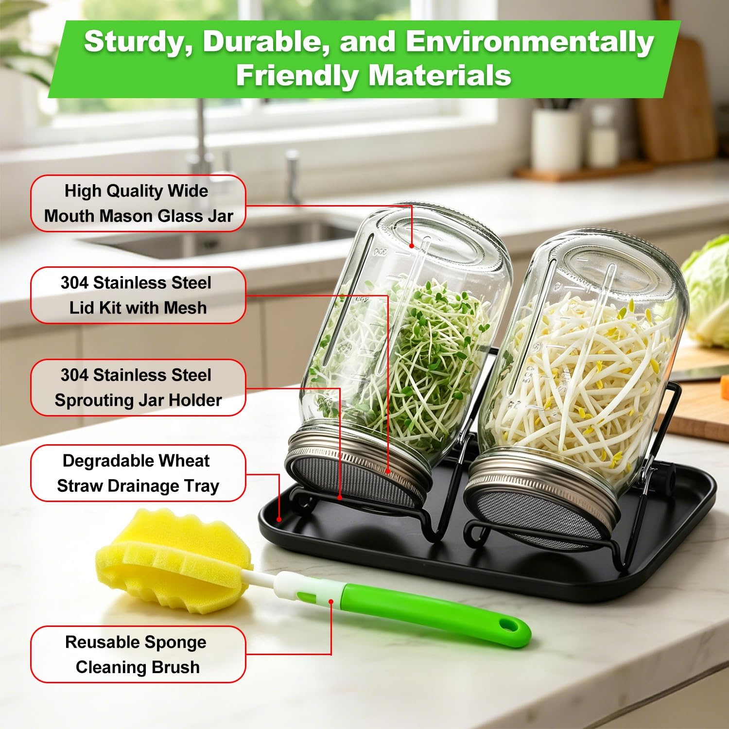 Sprouting Jar Kit 4 PCS 1000ml(35oz) Wide Mouth Mason Jars with 304 Stainless Steel Sprout Lids Drain Tray Stainless