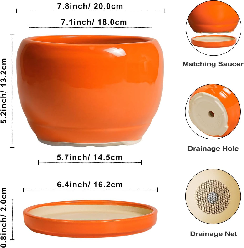 SQOWL Ceramic Pot for Plants - 8 Inch Plant Pot Indoor Outdoor, Modern Round Planter with Drainage Hole and Saucer