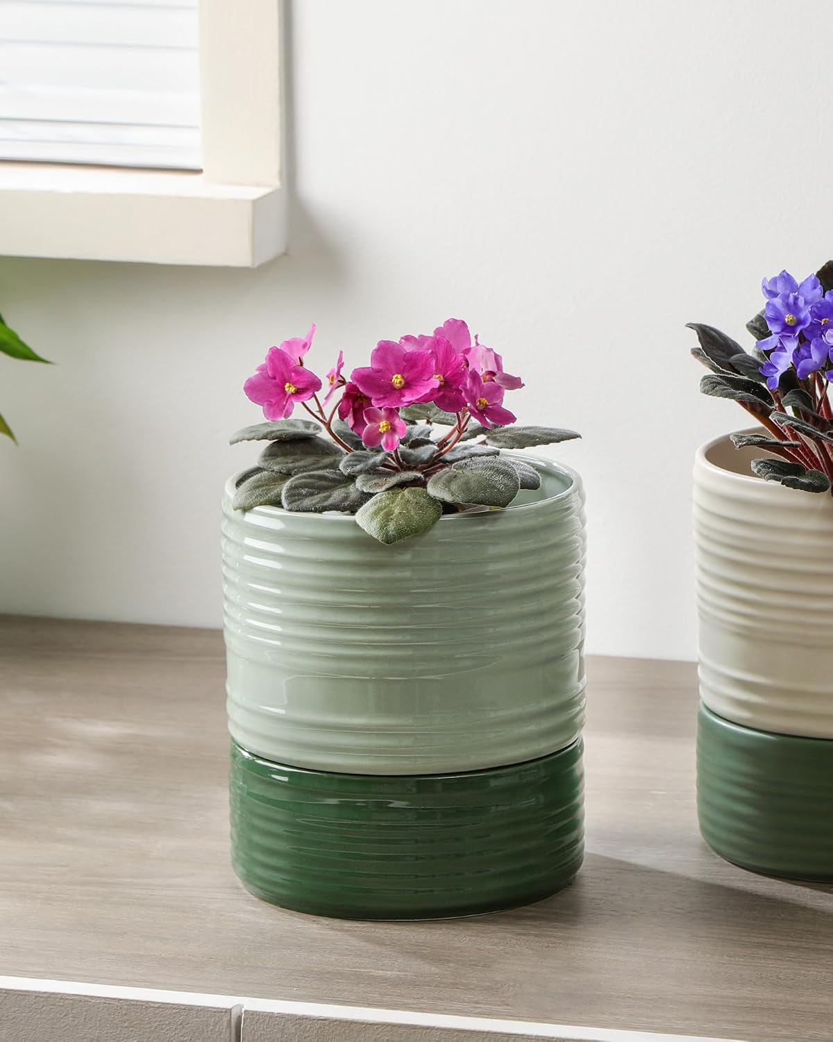 Fayoula Self Watering Pots for Indoor Plants, 6 Inch Ceramic Self Watering Plant Pot, Planter Pot with Wick Rope and