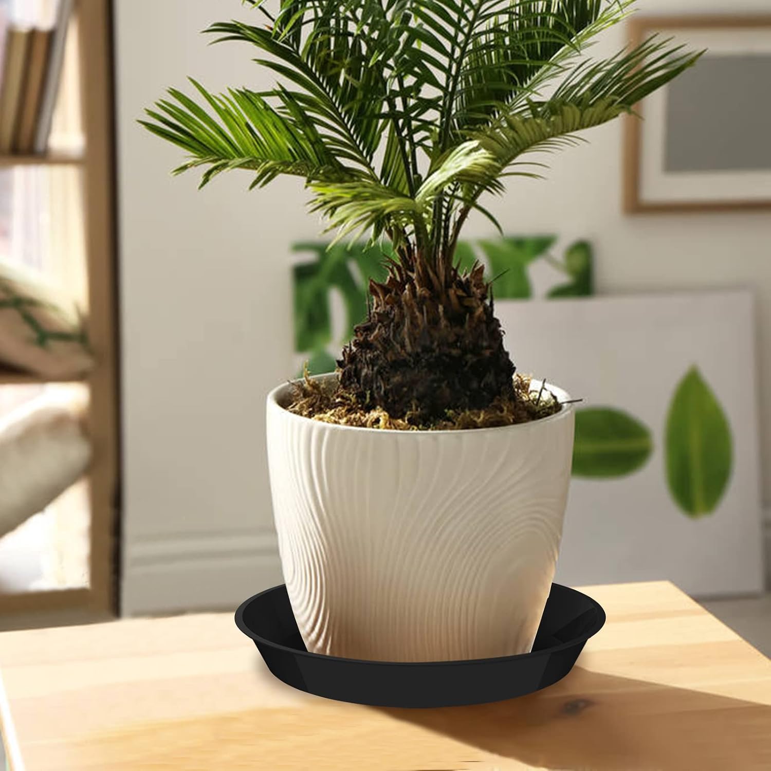 6 Pack Plant Saucer 14 16 18 20 22 Inch Plastic Plant Tray, Sturdy and Durable Flower Pot Container Accessories Plant