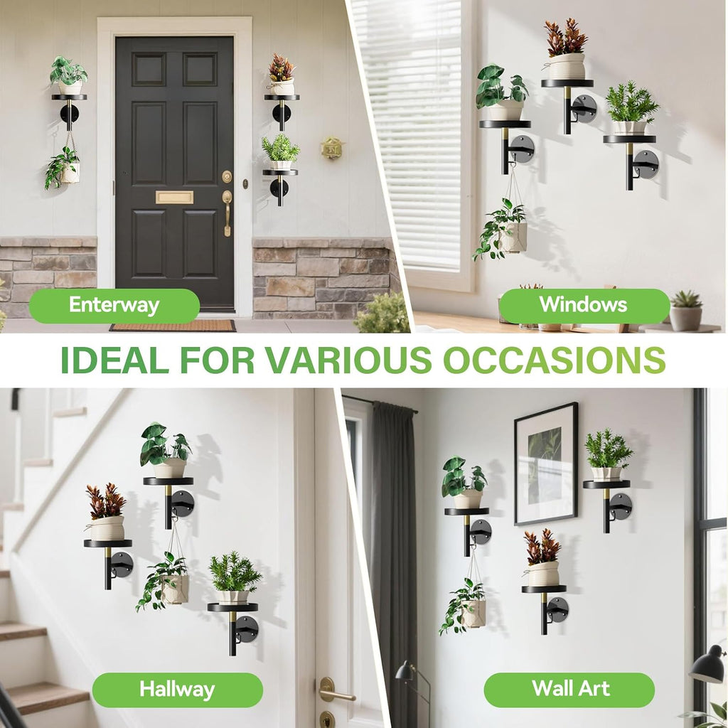 DELLAN Wall Plant Holder, 3 Pack Metal Stand, BlackGold | Hanging Shelves, Indoor Plants, Window Sill Decor, Multi-Room