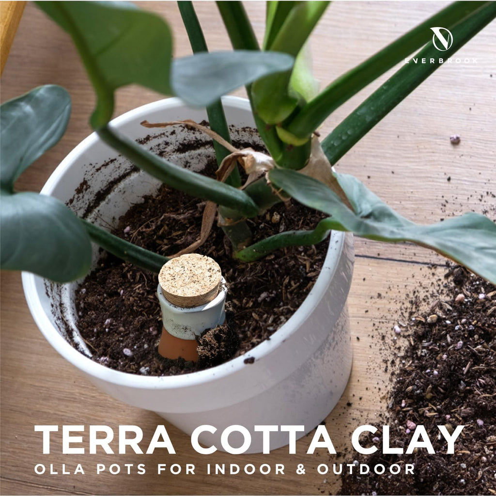 Plant Self Watering Globes - Terracotta Watering Spikes - Slow Release Olla Watering Pots - Drip Irrigiation Olla System