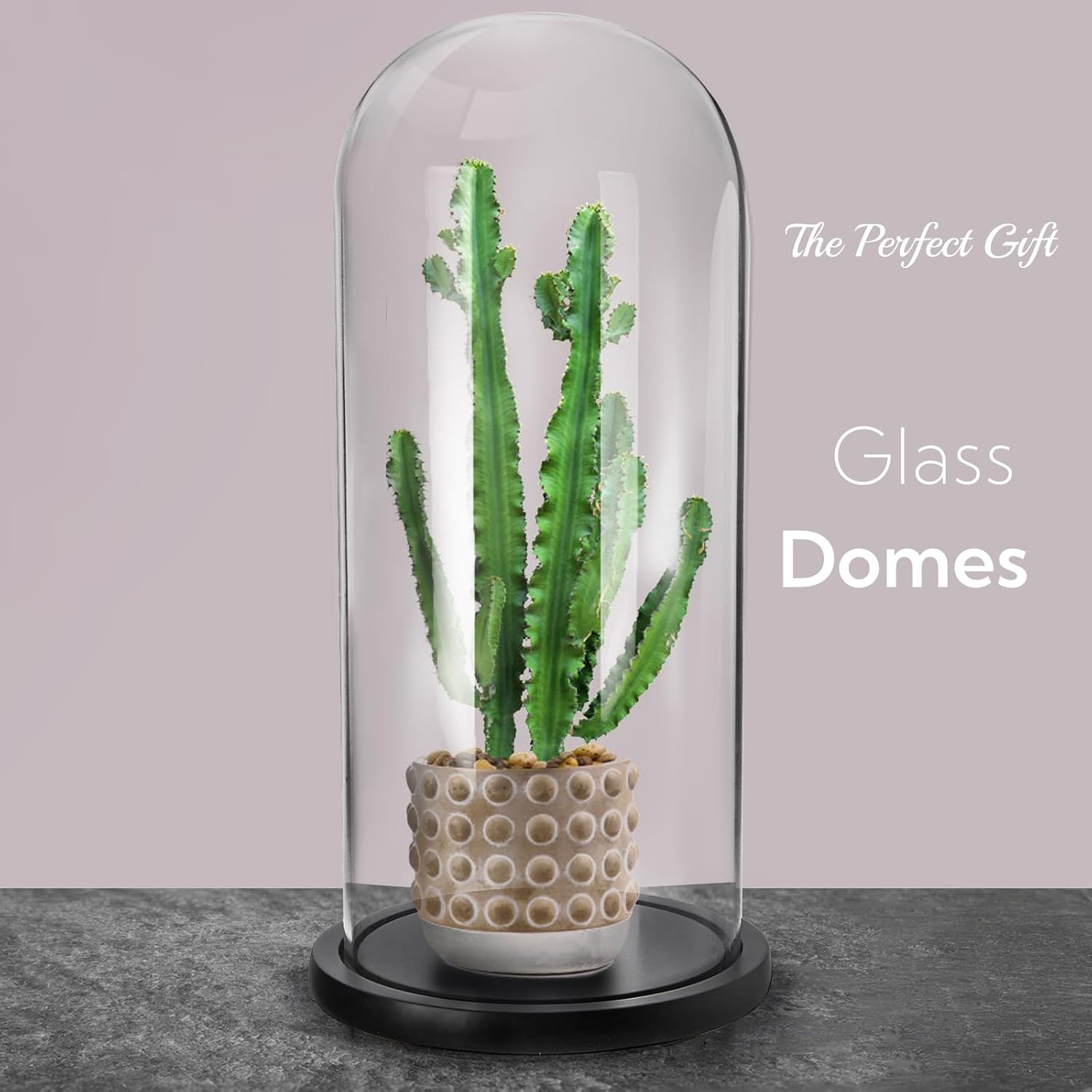 ZOOFOX 13.8 Inch Tall Glass Dome with Base, Clear Glass Empty Display Cloche, Decorative Bell Jar for Succulents