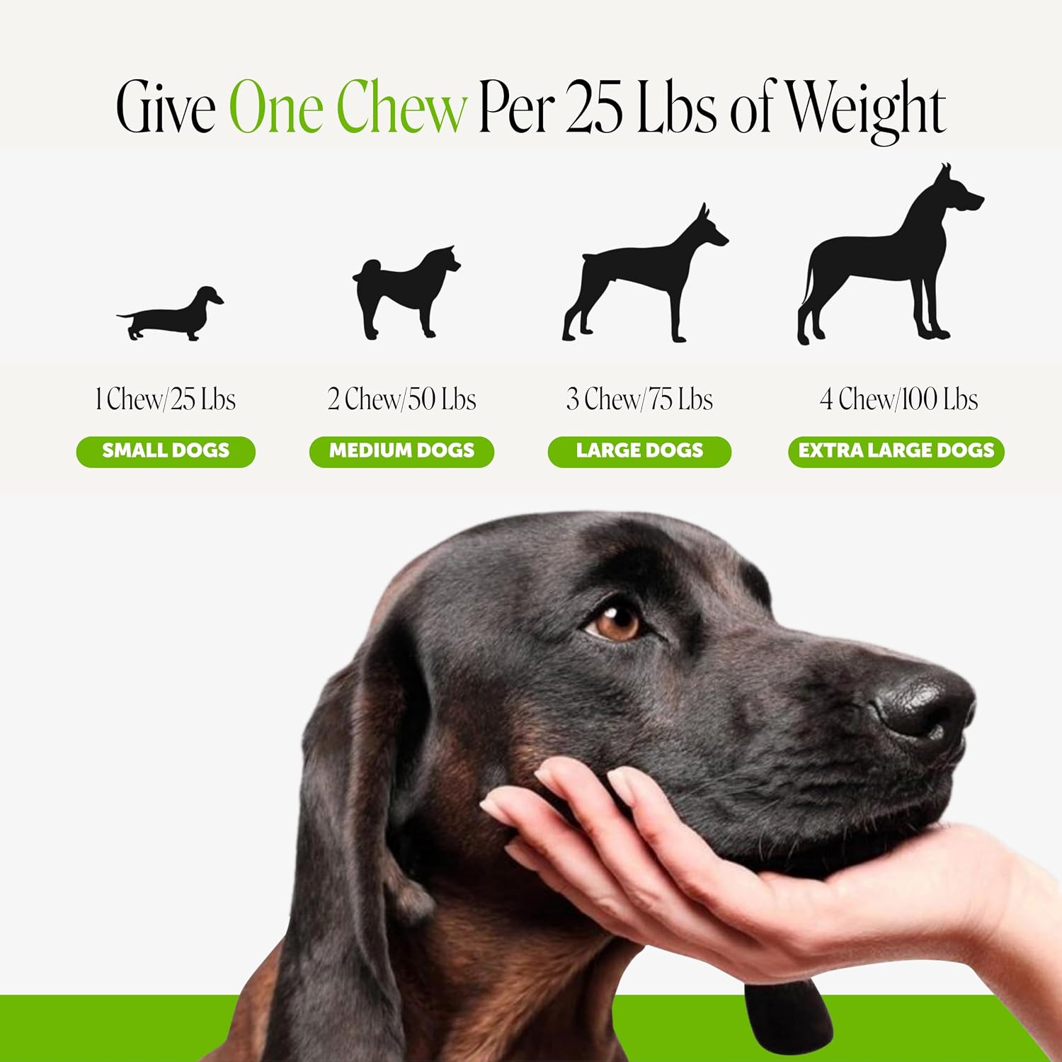 Grass Green Dog Urine Neutralizer for Lawns - Stops Yellow Burn Spots & Brown Grass - Lawn Saver Supplement with