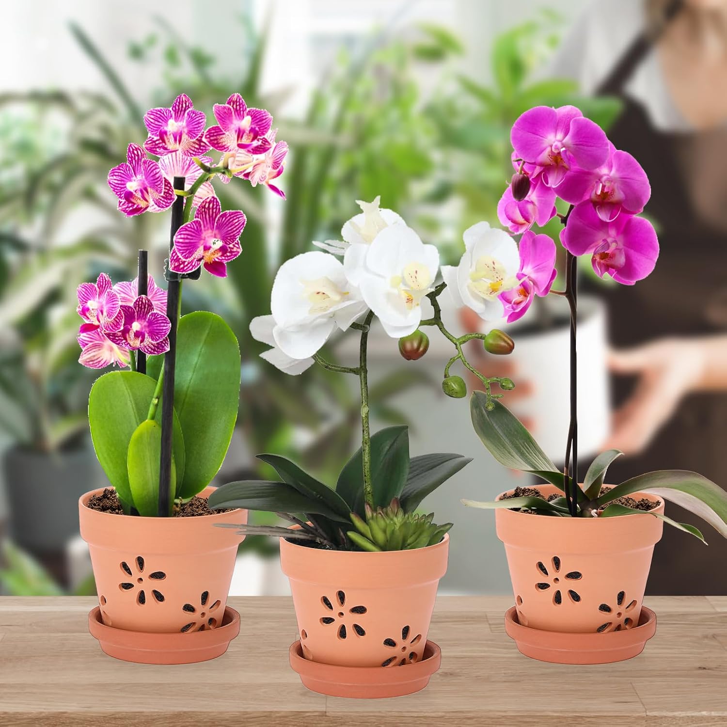 JUXYES Small 4" Hollowed Out Terracotta Orchid Pots with Holes and Saucer | 6 Pack Natural Rustic Clay Planter Pots for